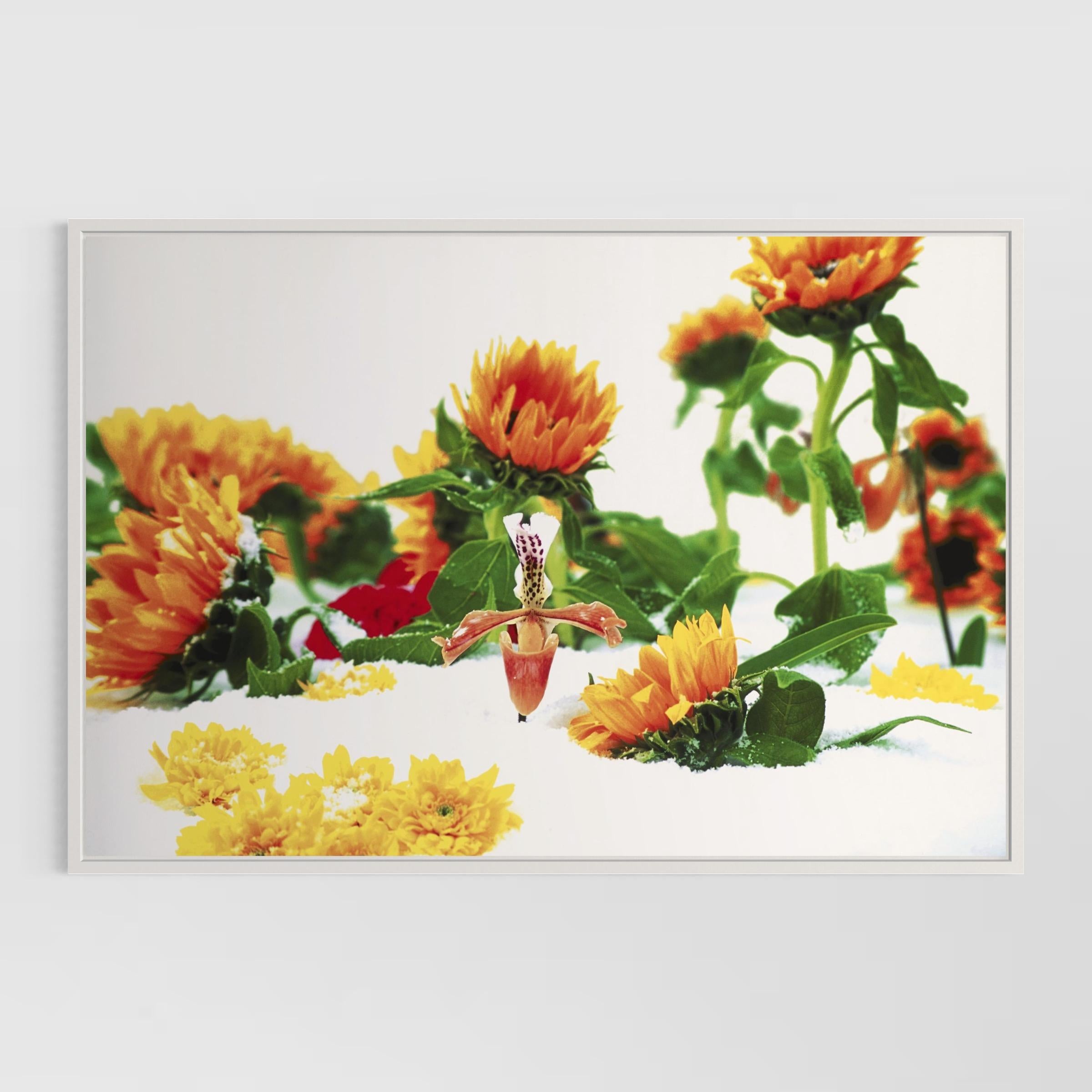 Winter Garden (Portfolio of 8) by Marc Quinn For Sale 2