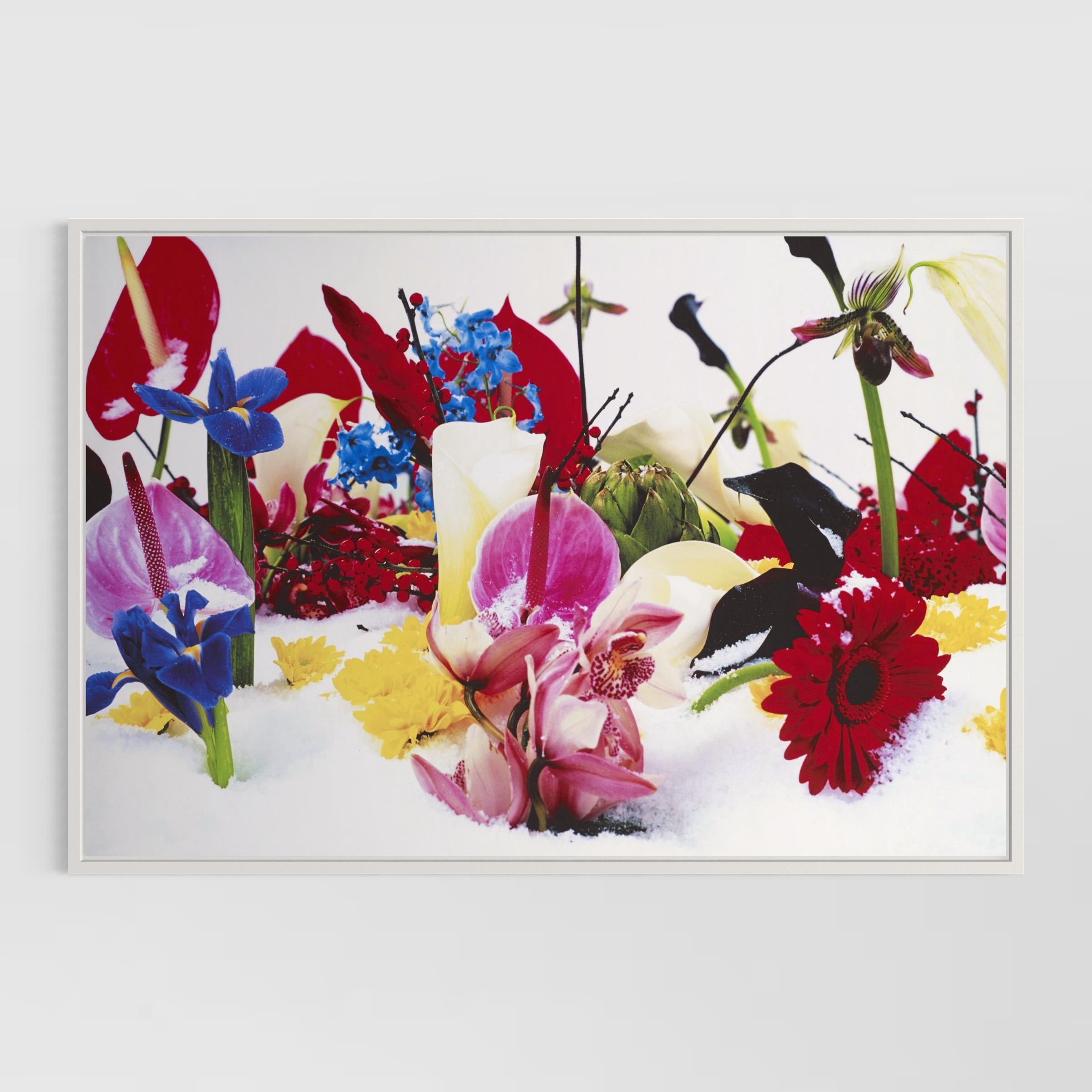 Winter Garden (Portfolio of 8) by Marc Quinn For Sale 3
