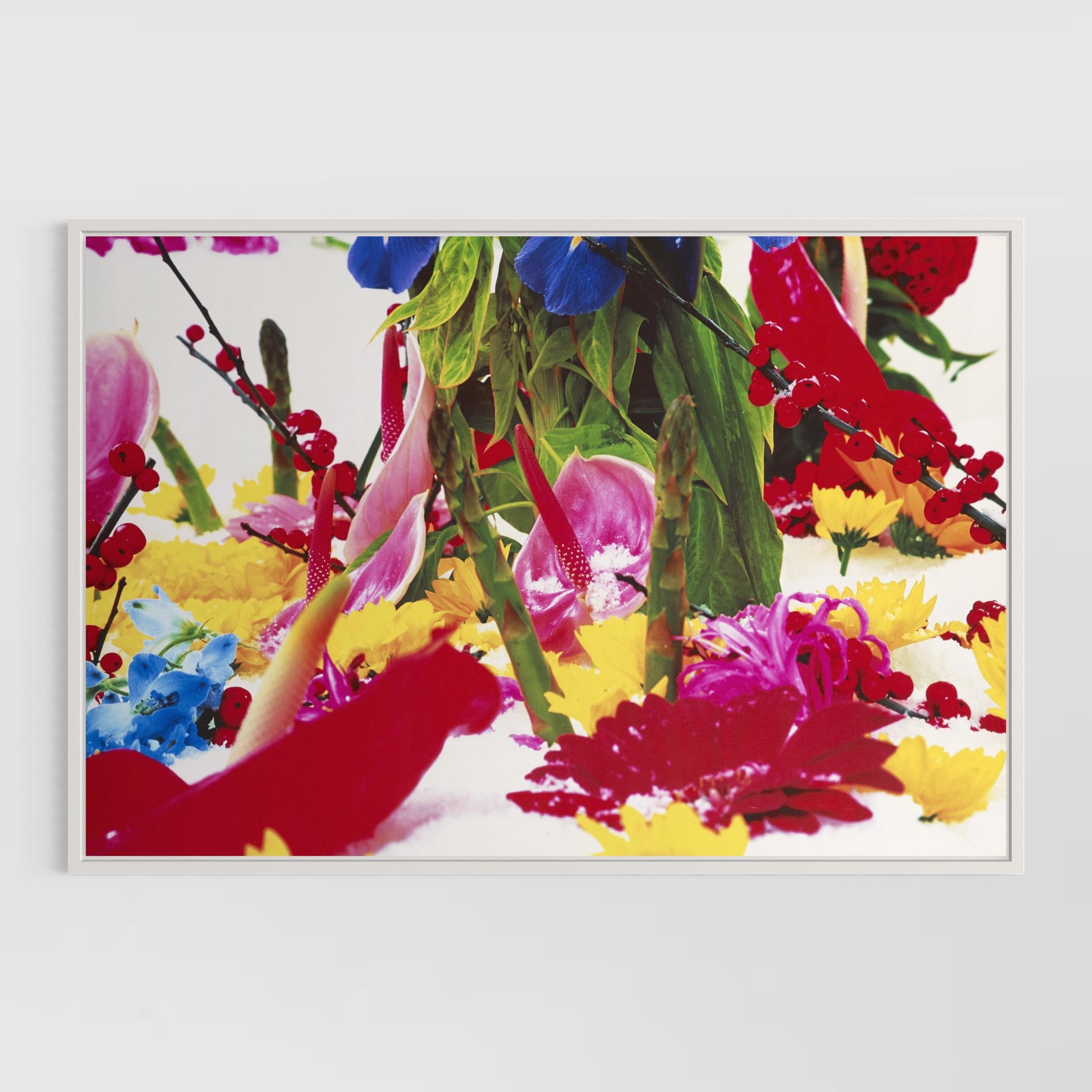 Winter Garden (Portfolio of 8) by Marc Quinn For Sale 6