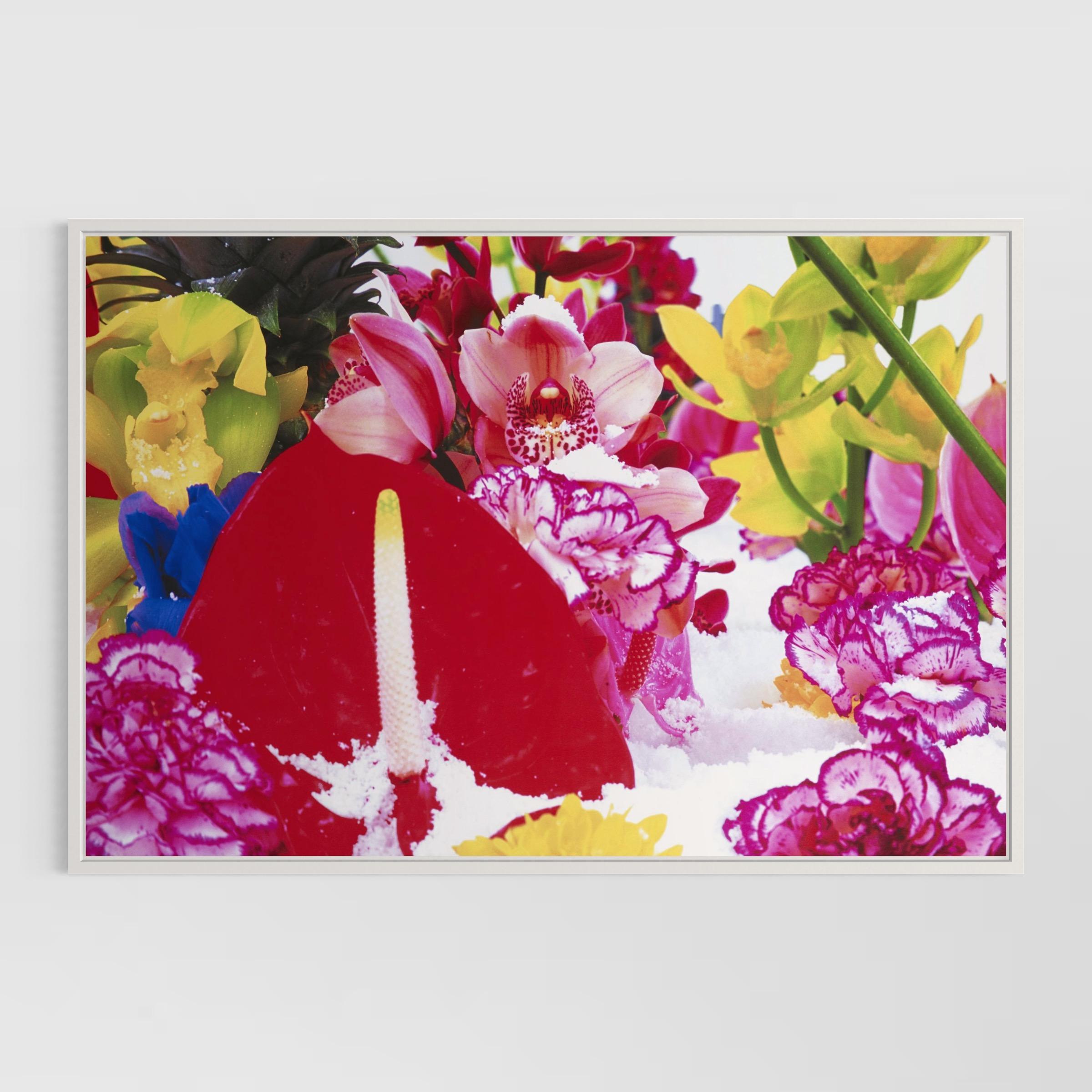 Winter Garden (Portfolio of 8) by Marc Quinn For Sale 7