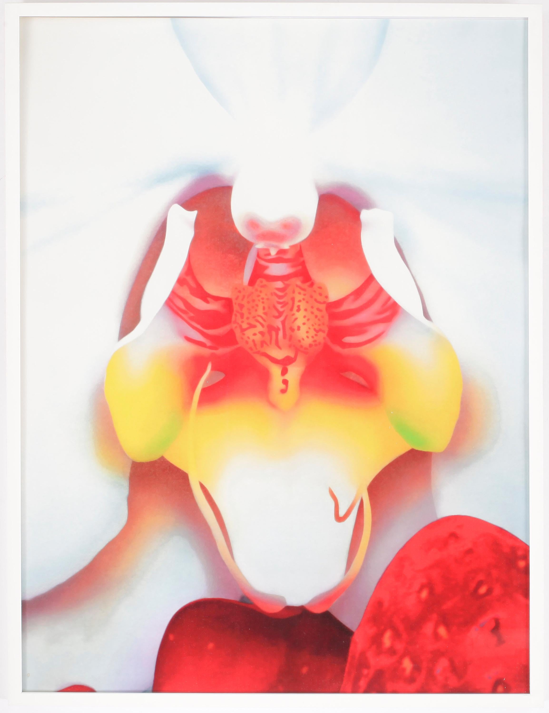 Aesthetic Movement Marc Quinn Portraits of  landscapes  2007 Pigment Print Signed  Numbered 51/59  For Sale