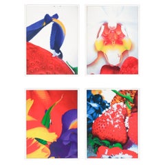 Used Marc Quinn Portraits of  landscapes  2007 Pigment Print Signed  Numbered 51/59 
