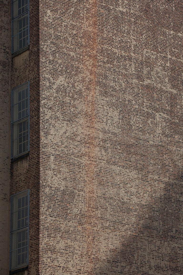 Marc Yankus Color Photograph - Caged Windows