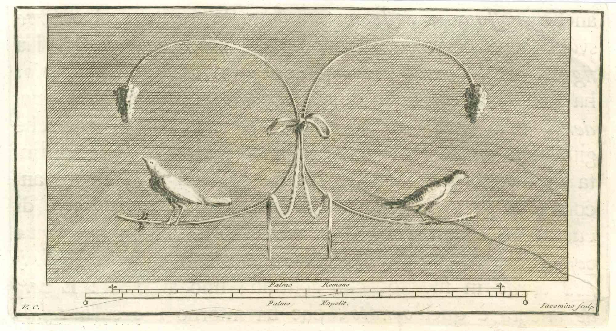 Marcant Iacomino Figurative Print - Birds Pompeian Fresco - Etching by Marcantonio Iacomino - 18th Century