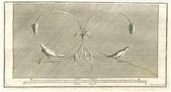 Birds Pompeian Fresco - Etching by Marcantonio Iacomino - 18th Century