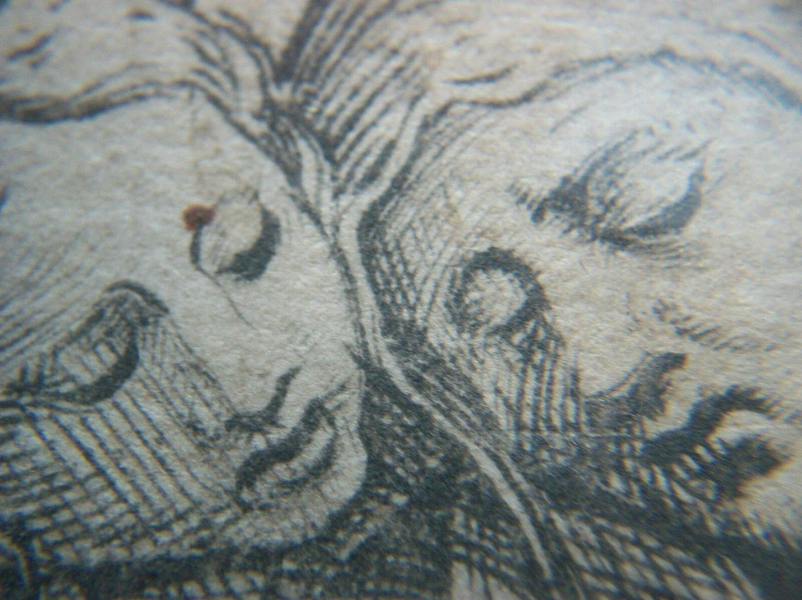 Marcantonio Raimondi „Pupil of, Antike Gravur, Italien, Mitte des 16. Jahrhunderts (18. Jahrhundert und früher) im Angebot