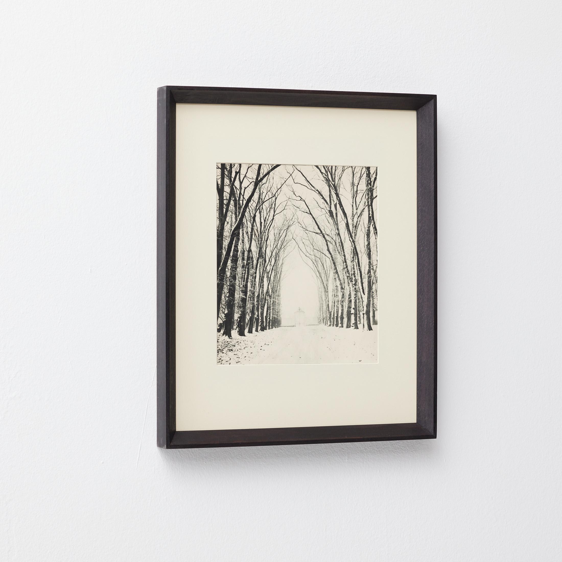 Mid-Century Modern Marcel Bovis Landscape 1930s Heliogravure, Verve Magazine 1937, Framed For Sale