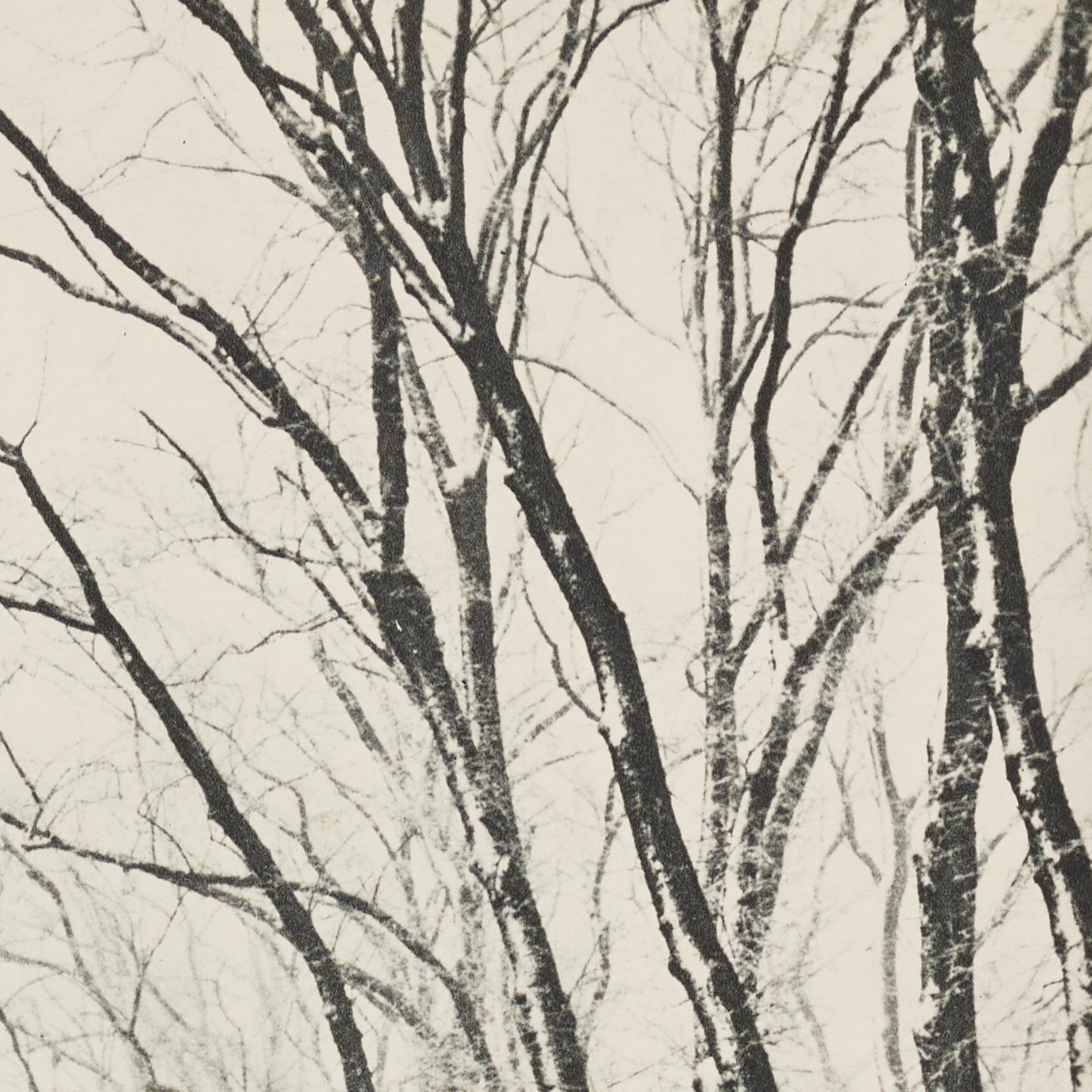 Marcel Bovis Landscape 1930s Heliogravure, Verve Magazine 1937, Framed In Good Condition For Sale In Barcelona, Barcelona