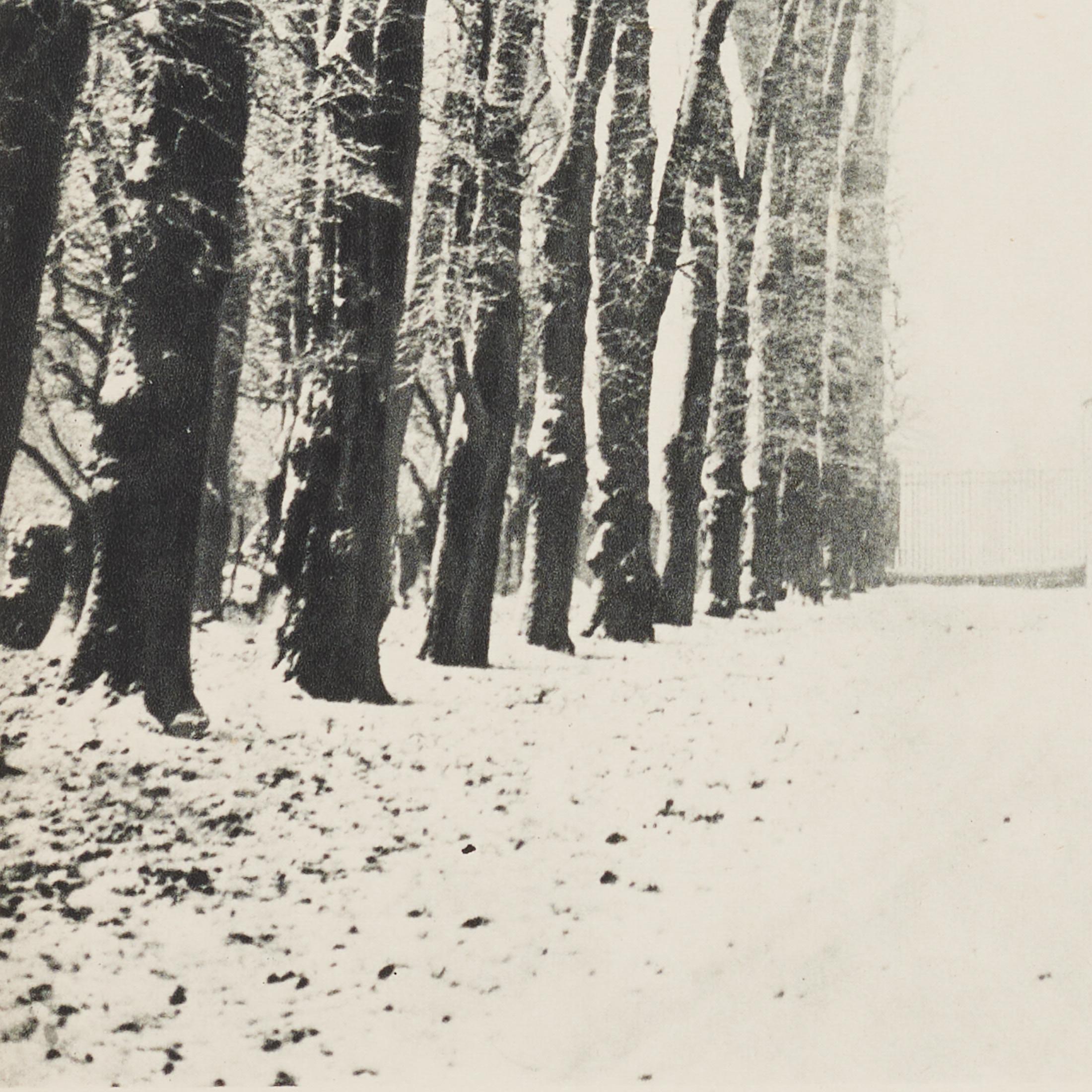 Mid-20th Century Marcel Bovis Landscape 1930s Heliogravure, Verve Magazine 1937, Framed For Sale