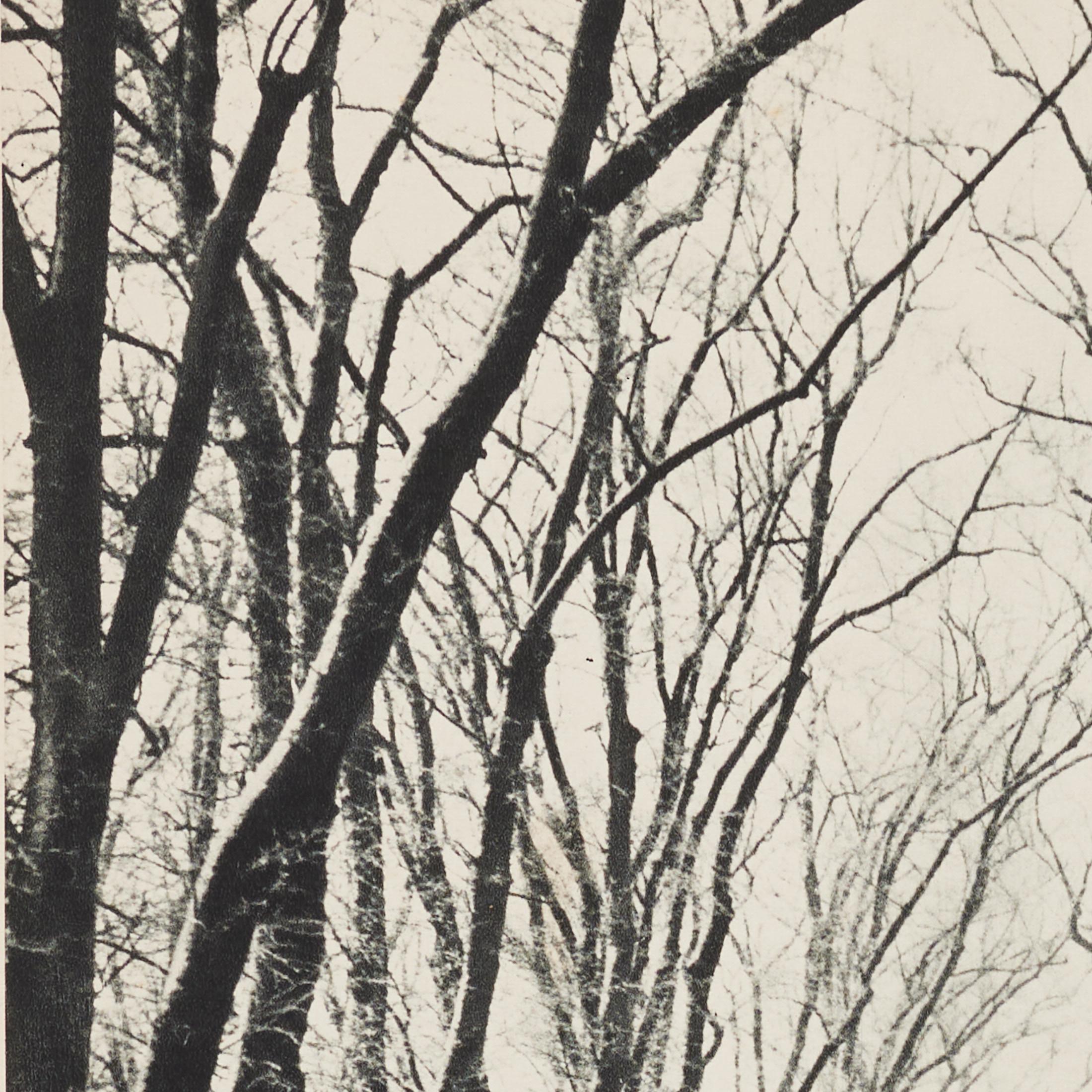 Paper Marcel Bovis Landscape 1930s Heliogravure, Verve Magazine 1937, Framed For Sale