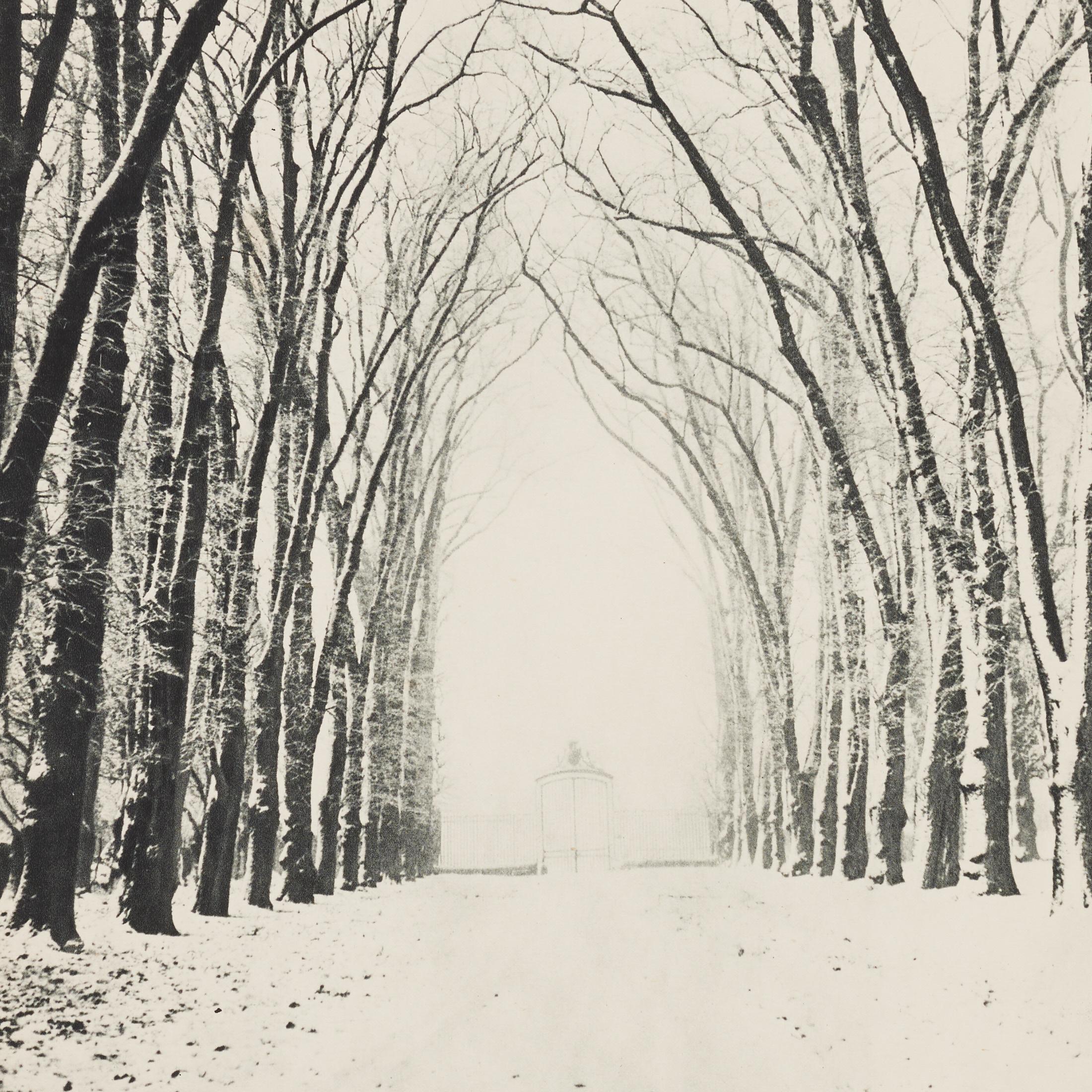 Marcel Bovis Landscape 1930s Heliogravure, Verve Magazine 1937, Framed For Sale 2