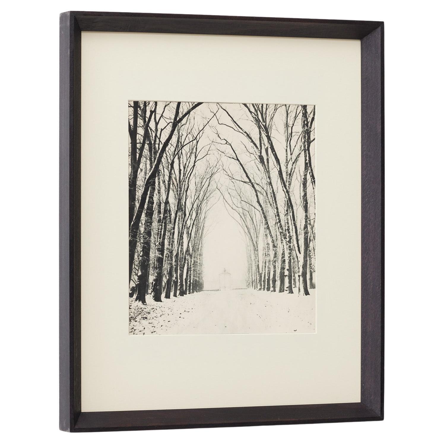 Marcel Bovis Landscape 1930s Heliogravure, Verve Magazine 1937, Framed For Sale