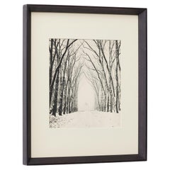 Vintage Marcel Bovis Landscape 1930s Heliogravure, Verve Magazine 1937, Framed
