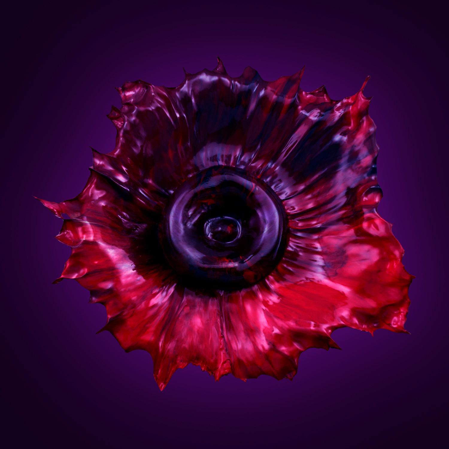 Abstract Photograph Marcel Christ - Florem Illusio #3