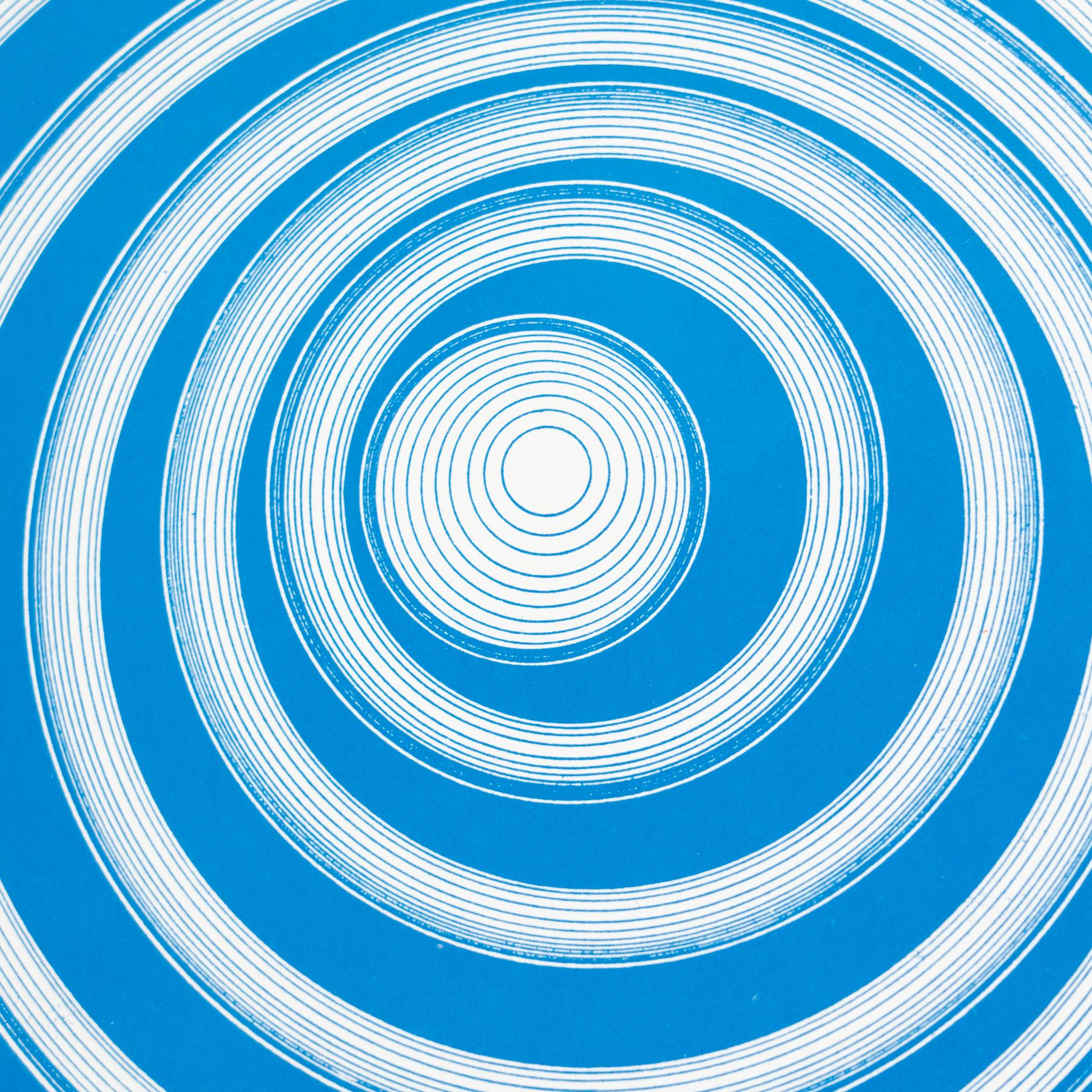 Marcel Duchamp Cerceaux Rotorelief Konig Serie 133, 1987 in vendita 1