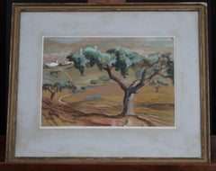Vintage French olive groves landscape