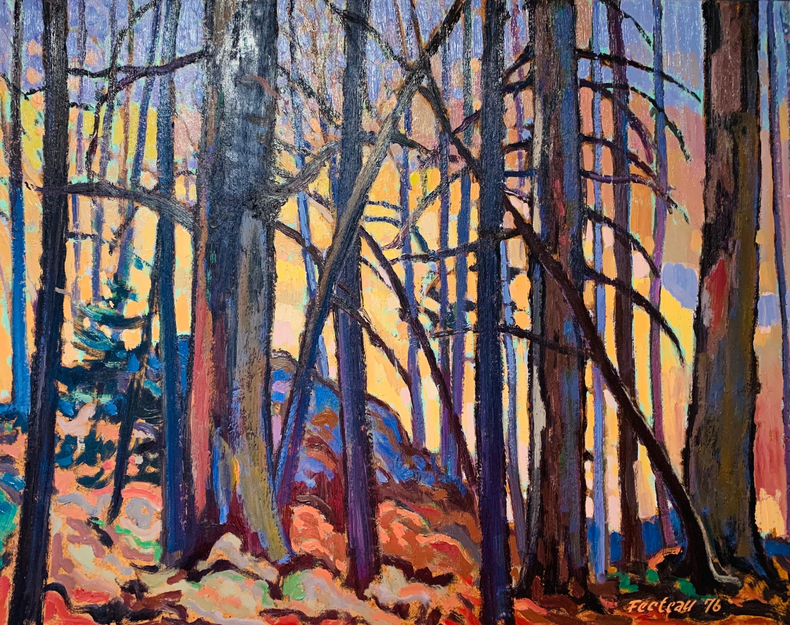 Landschaft in Quebec