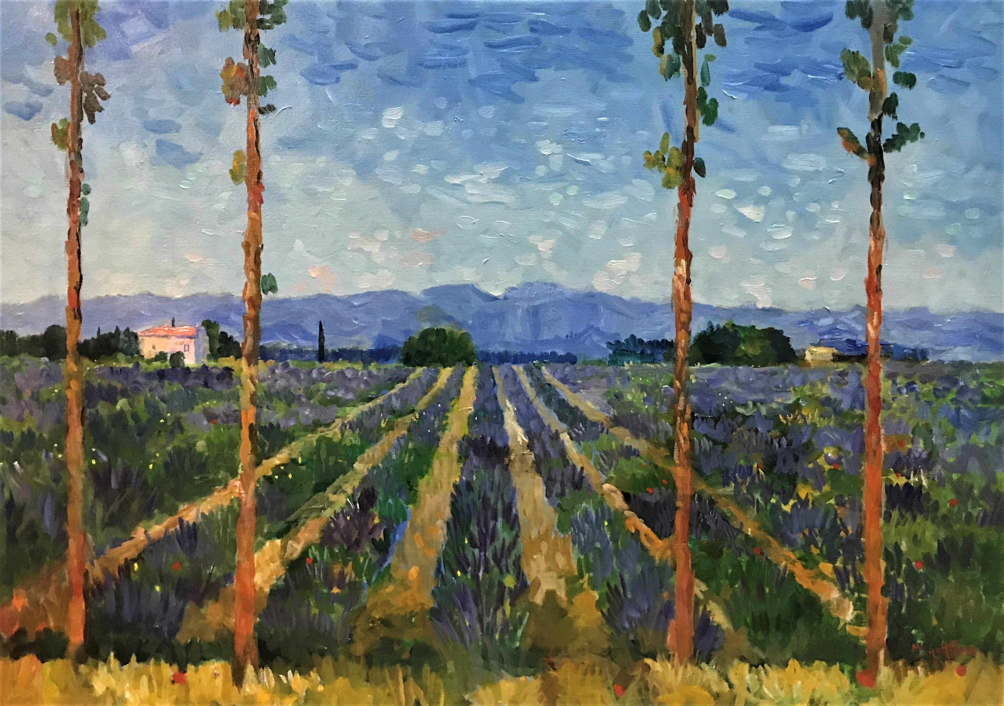 Landscape Painting Marcel Gatteaux - Lavande à travers les arbres de pin, Cassis, Provence, huile sur toile originale colorée