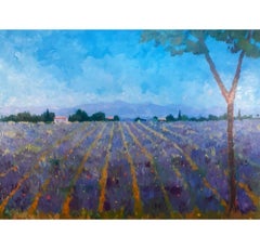 I campi di lavanda