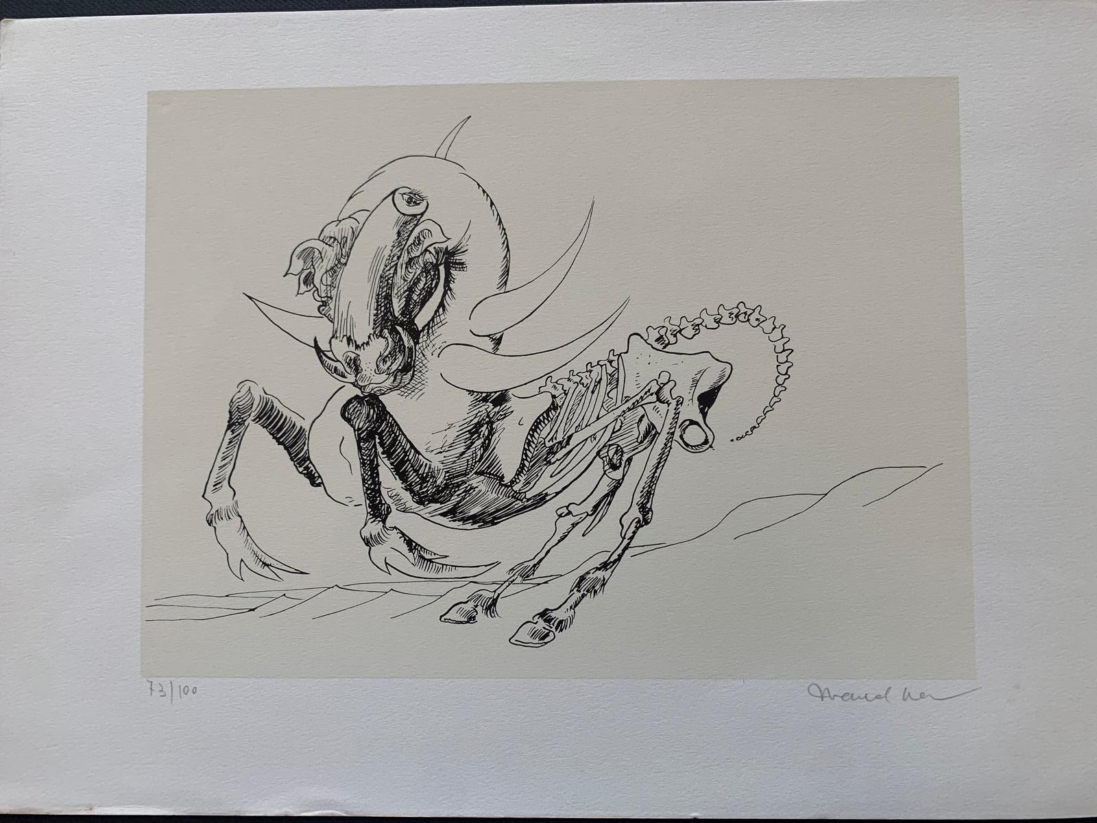 Marcel Jean, Surrealist Compositions, Lithographs, 1960, Set of 15 In Good Condition For Sale In Montelabbate, PU
