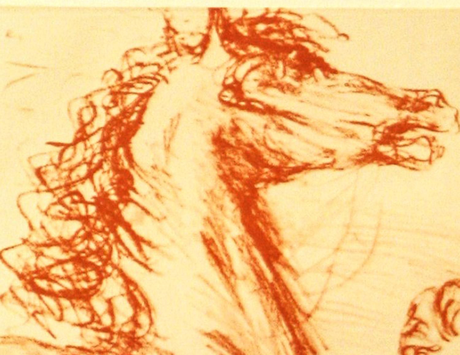 Pferdesportlithographie 