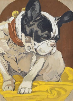 French bulldog
