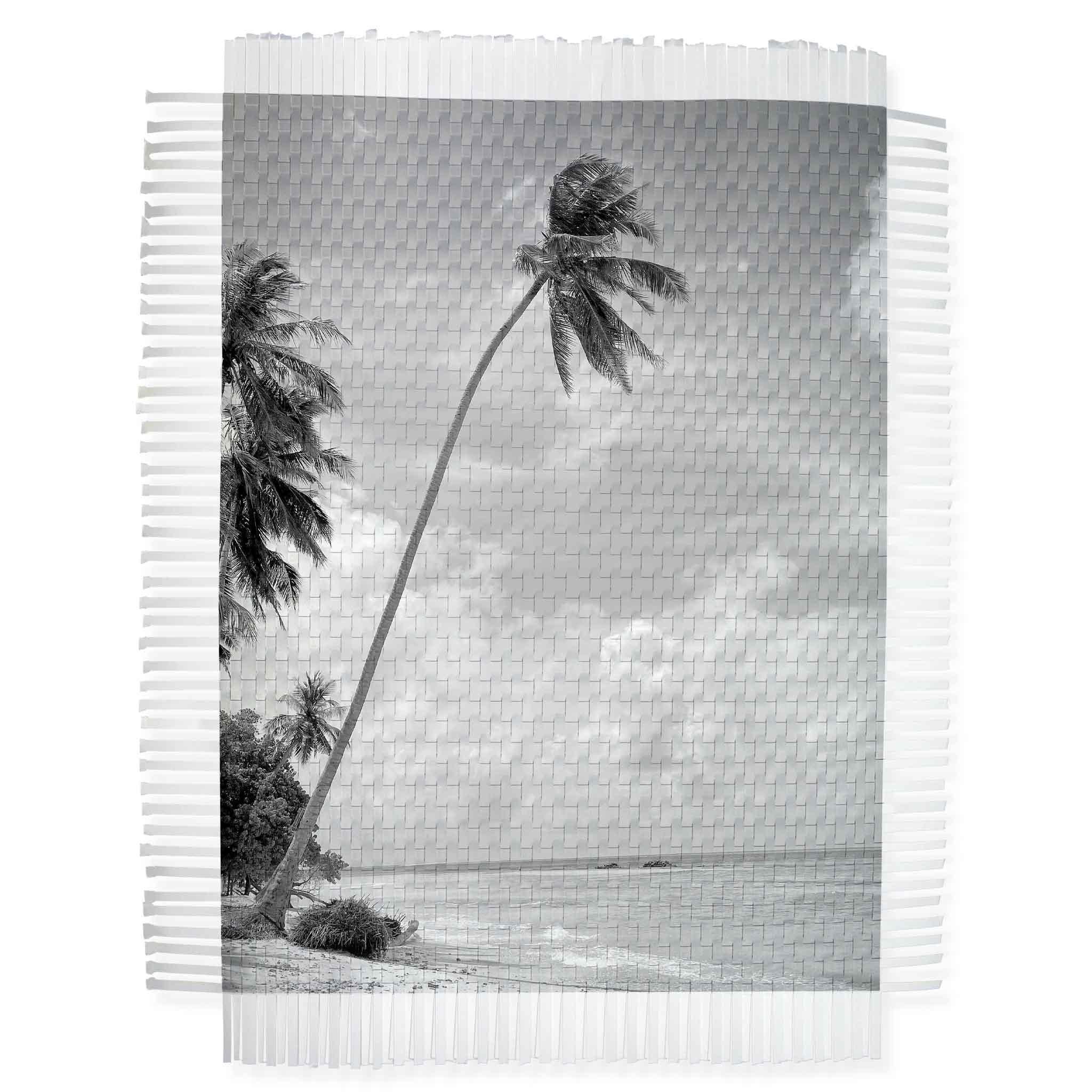 Palms #2 - Mixed Media Art by Marcelo Bengoechea