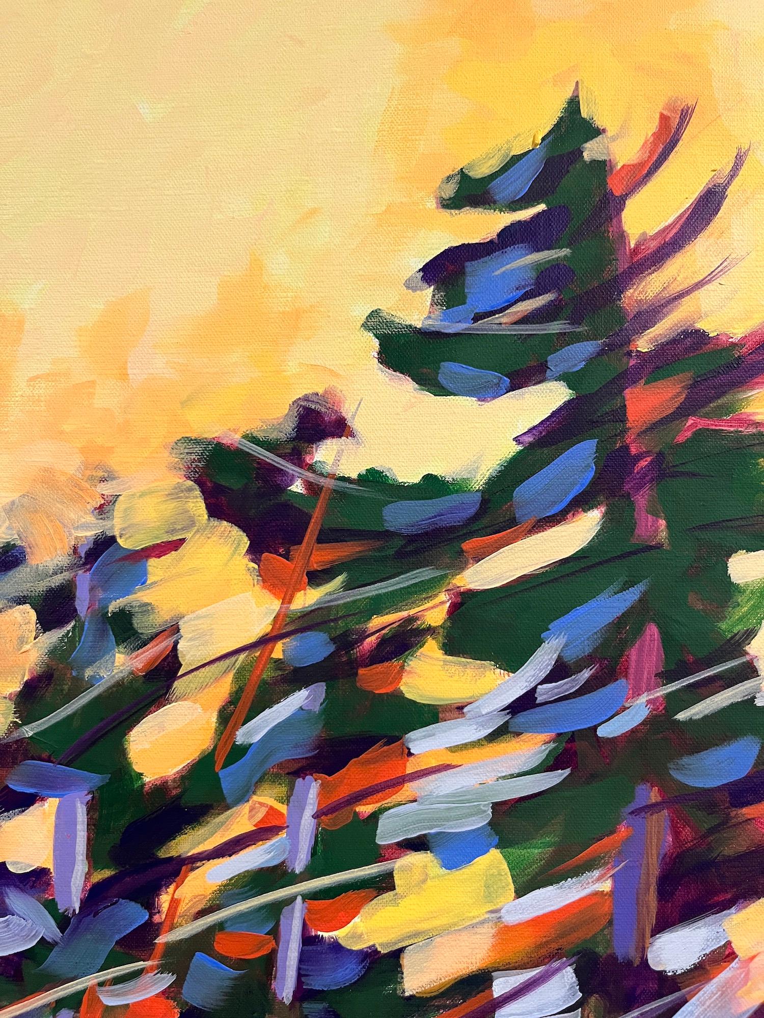 wise oil paint