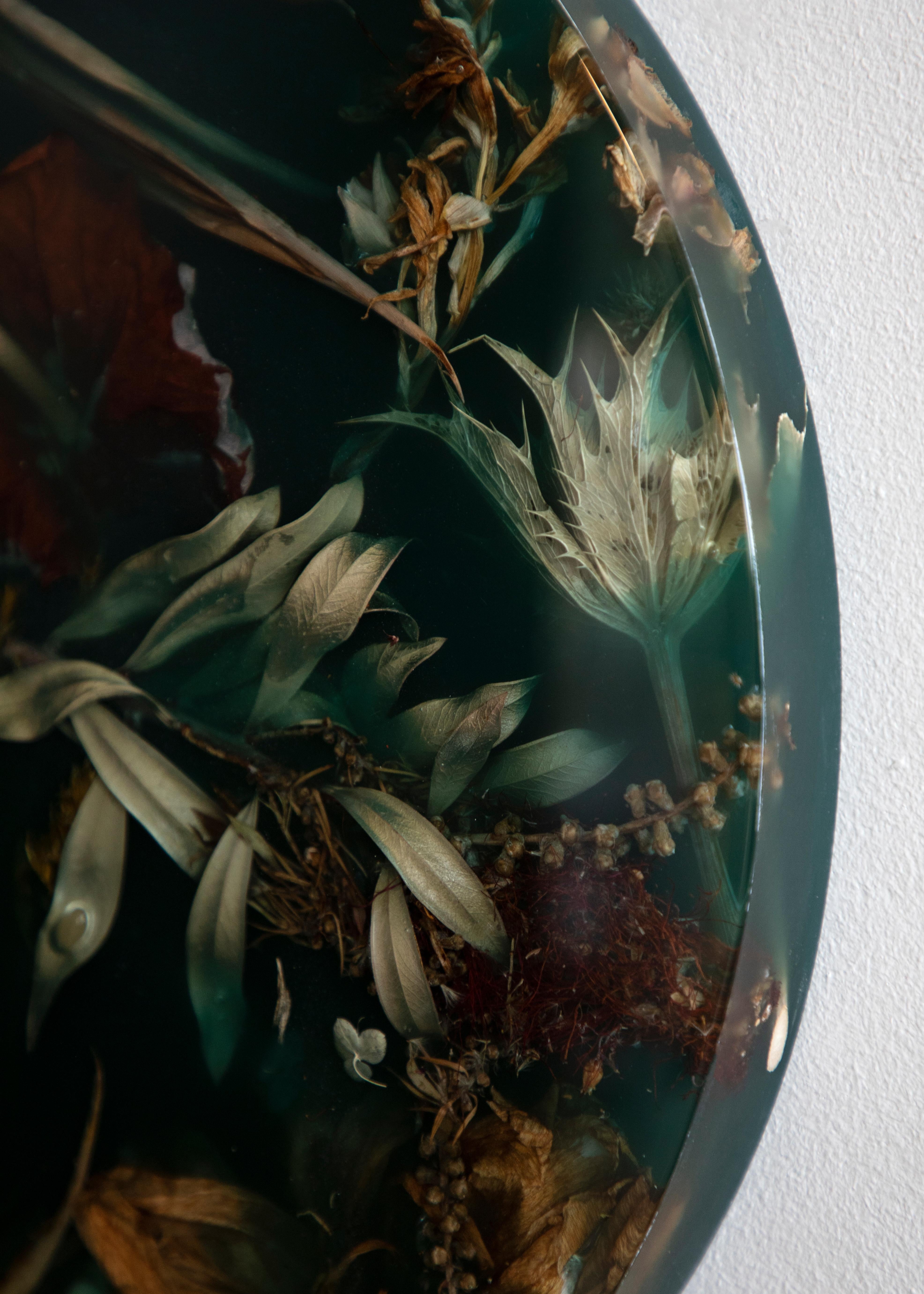 Parte della collezione Flora di Marcin Rusak, il Flora Lens 40 da parete costituisce un pezzo decorativo unico che si adatta bene a diversi ambienti. Basato su fiori scartati e accuratamente immersi nella resina, questo pezzo convesso è interamente