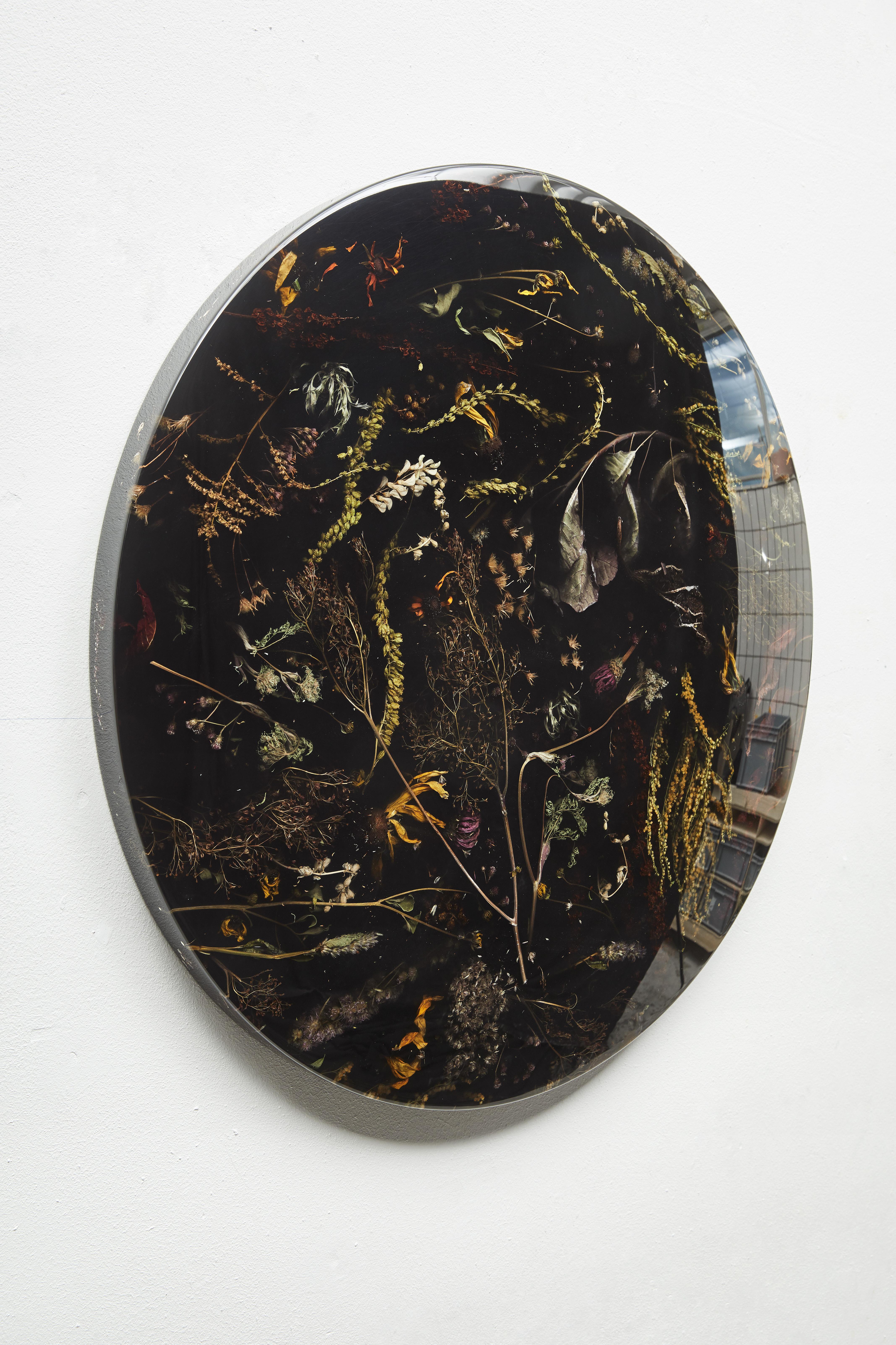 Part of Marcin Rusak’s signature Flora collection, the wall-hanging Flora Lens 65 constitutes a unique decorative piece that works well in a variety of settings. Based on discarded flowers carefully submerged in resin, this convex piece is entirely
