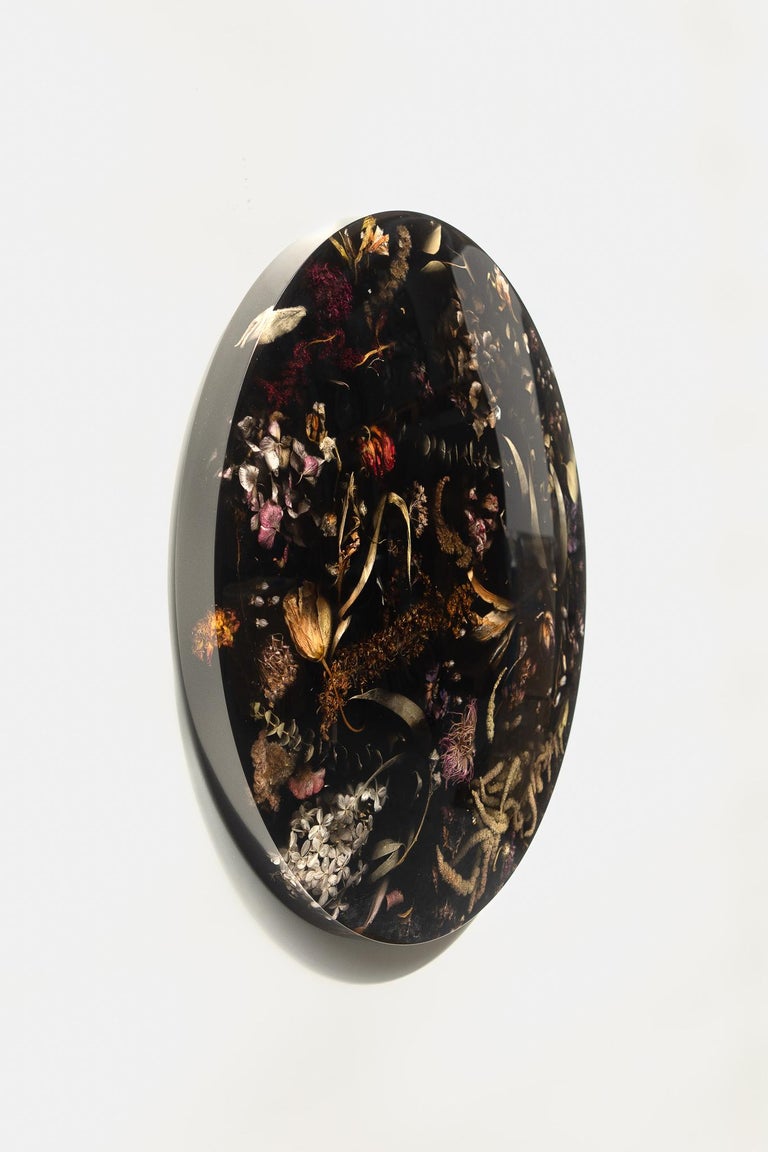 Marcin Rusak, Flora Lens 65 Wallhanging Object, Black Polished Finish ...