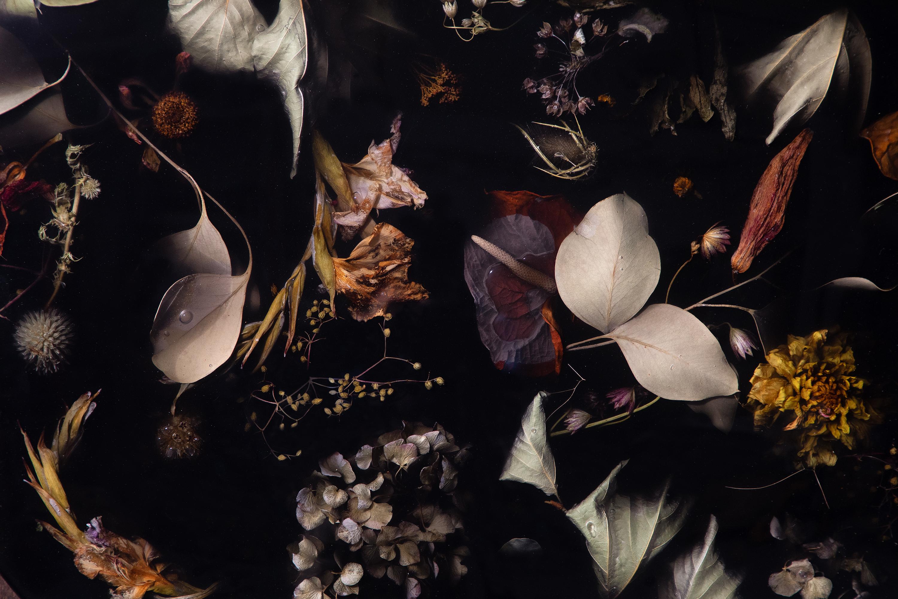 Marcin Rusak, Colgante de pared Flora Lens 65, acabado pulido negro en Nuevo estado para la venta en WARSZAWA, 14