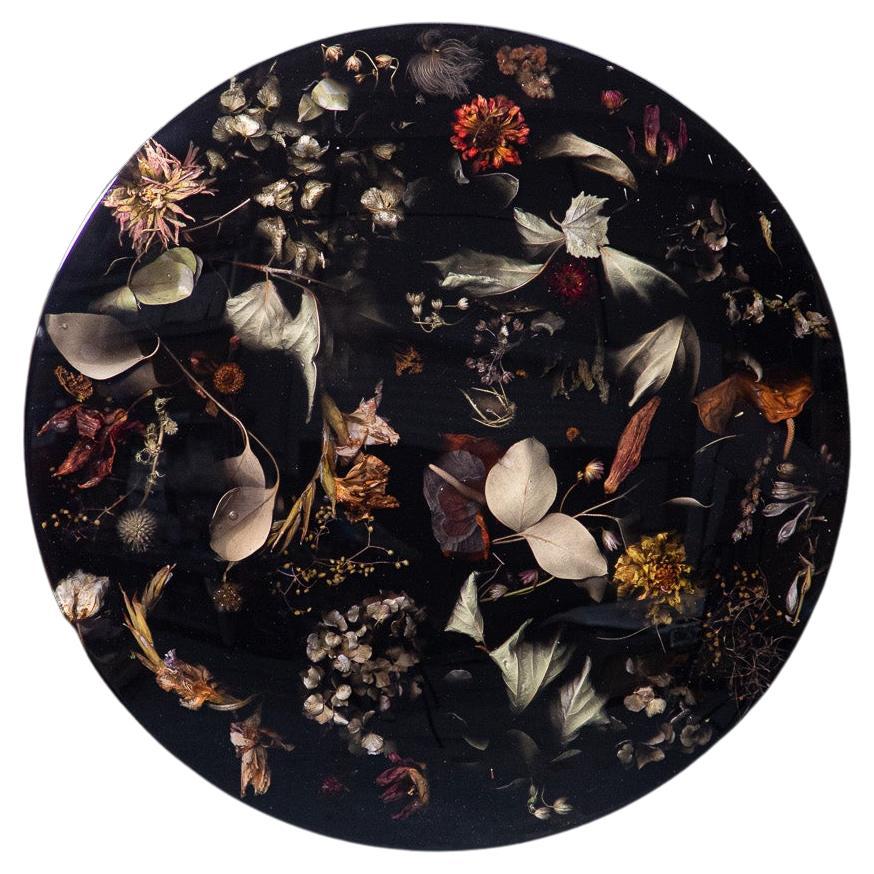 Marcin Rusak, Flora Lens 65 Wallhanging Piece, Black Polished Finish