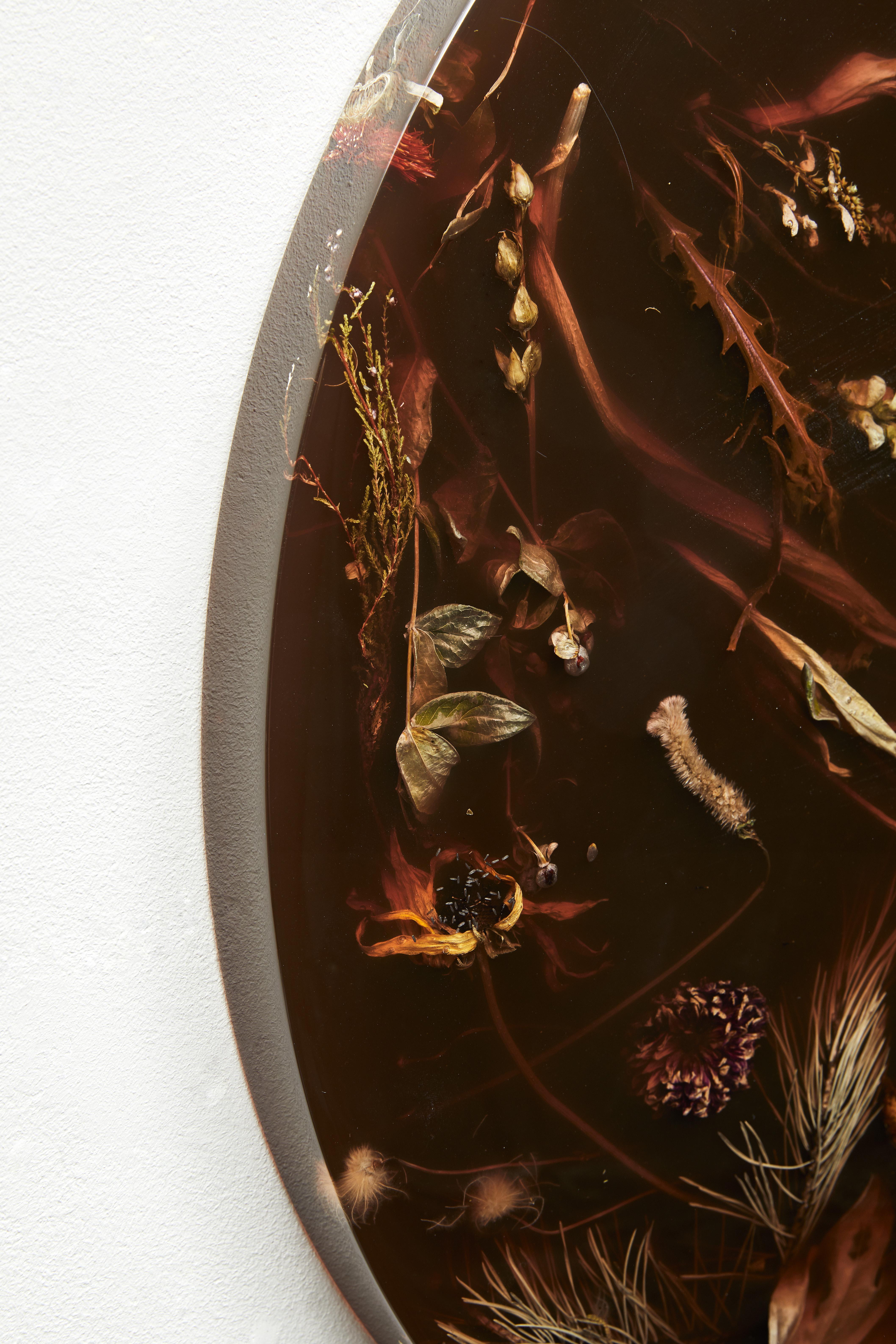 Moulage Applique murale Flora Lens 65 Marcin Rusak, couleur rouille, finition polie en vente