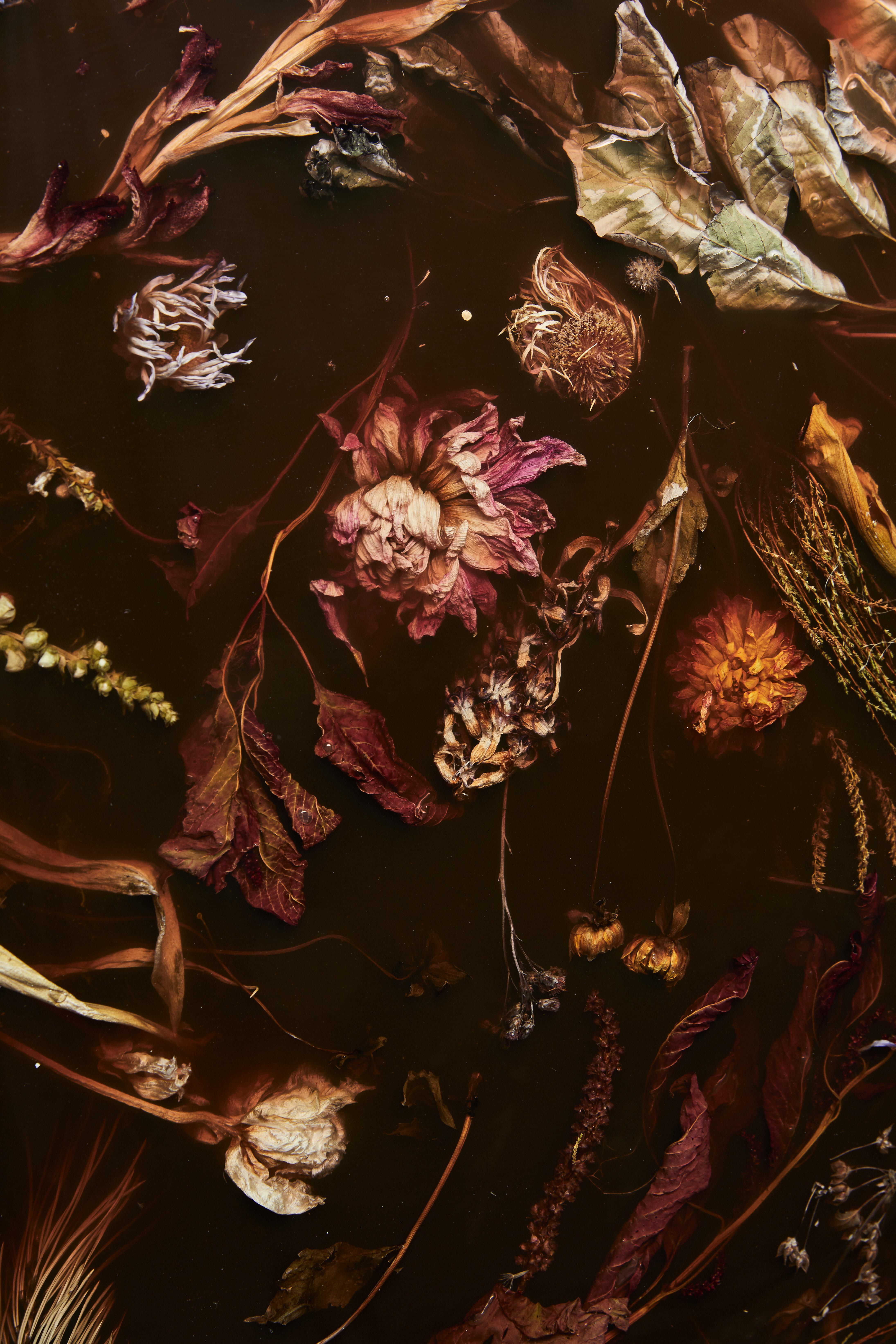 XXIe siècle et contemporain Applique murale Flora Lens 65 Marcin Rusak, couleur rouille, finition polie en vente
