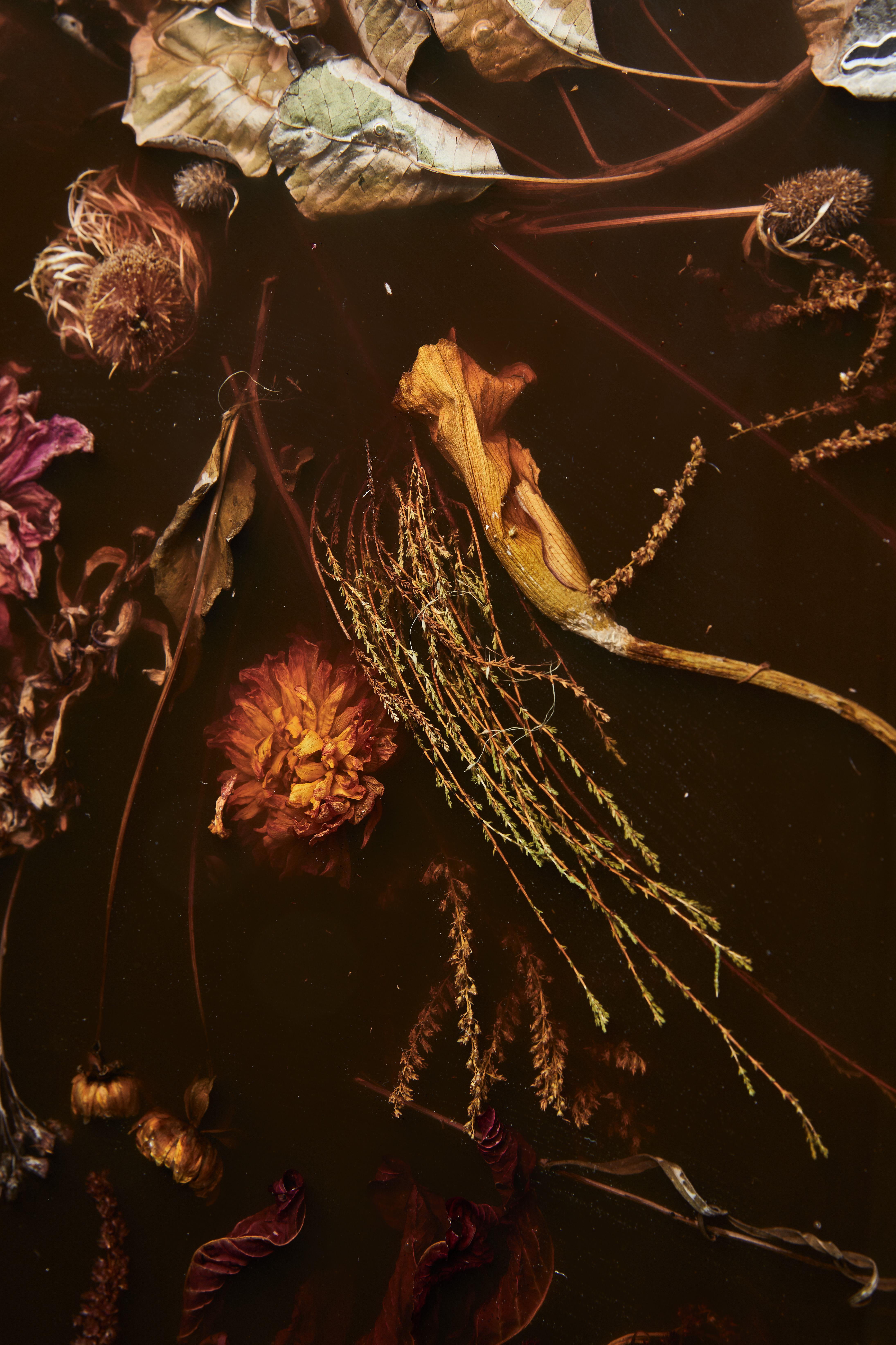 Résine Applique murale Flora Lens 65 Marcin Rusak, couleur rouille, finition polie en vente