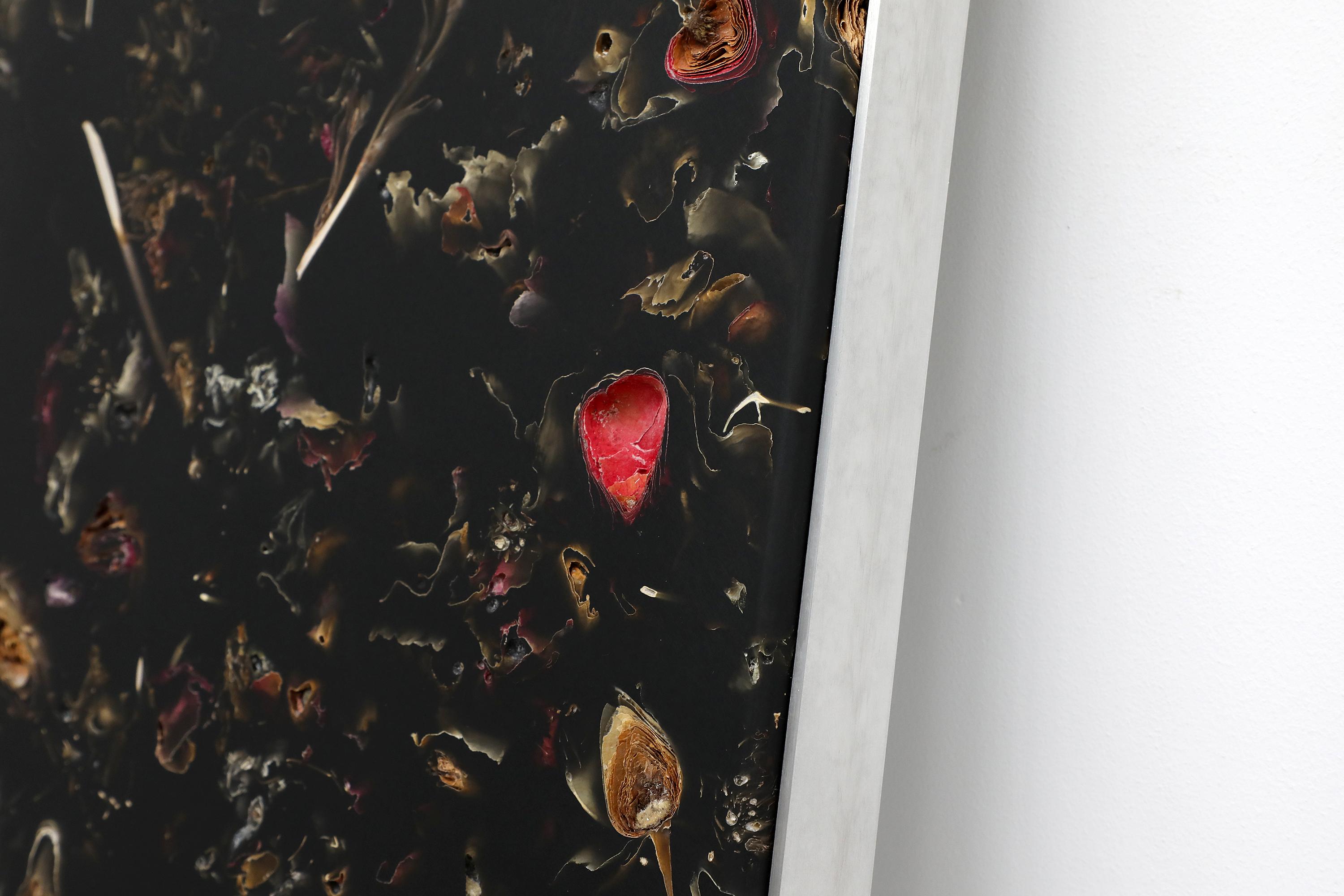 Parte de la emblemática colección Flora de Marcin Rusak, la Flora Perma Colgante de Pared Pieza 75 constituye una pieza decorativa única que funciona bien en diversos ambientes. Basada en flores desechadas cuidadosamente sumergidas en resina, la