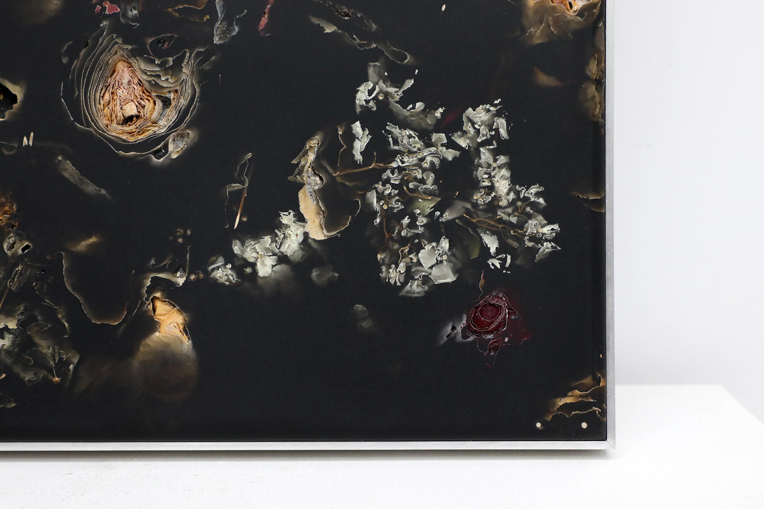 Marcin Rusak, Flora Perma Colgante de pared Pieza 75, Resina negra, Aluminio Otro en venta