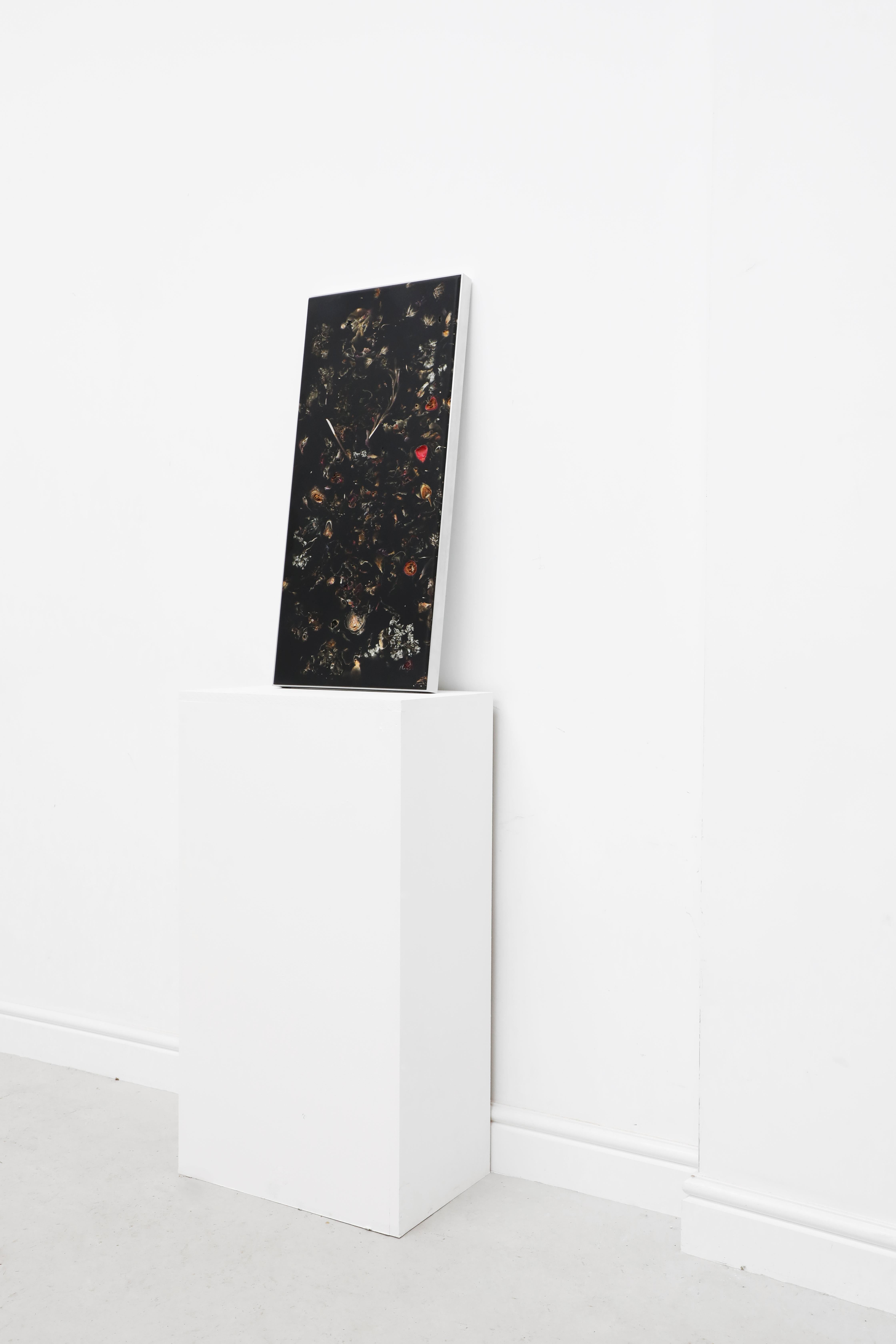 Marcin Rusak, Flora Perma Colgante de pared Pieza 75, Resina negra, Aluminio Europeo en venta
