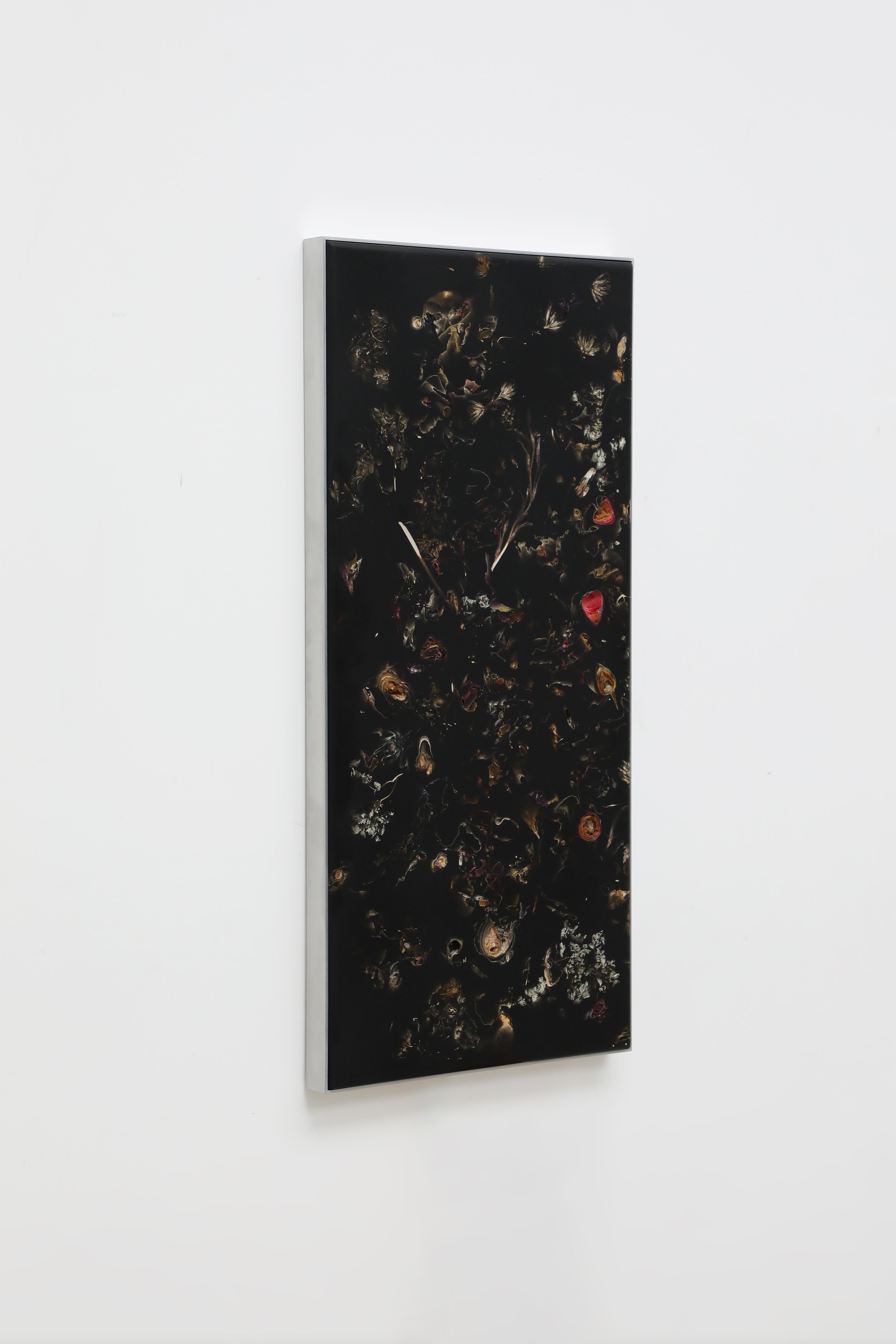 Marcin Rusak, Flora Perma Colgante de pared Pieza 75, Resina negra, Aluminio Vaciado en venta