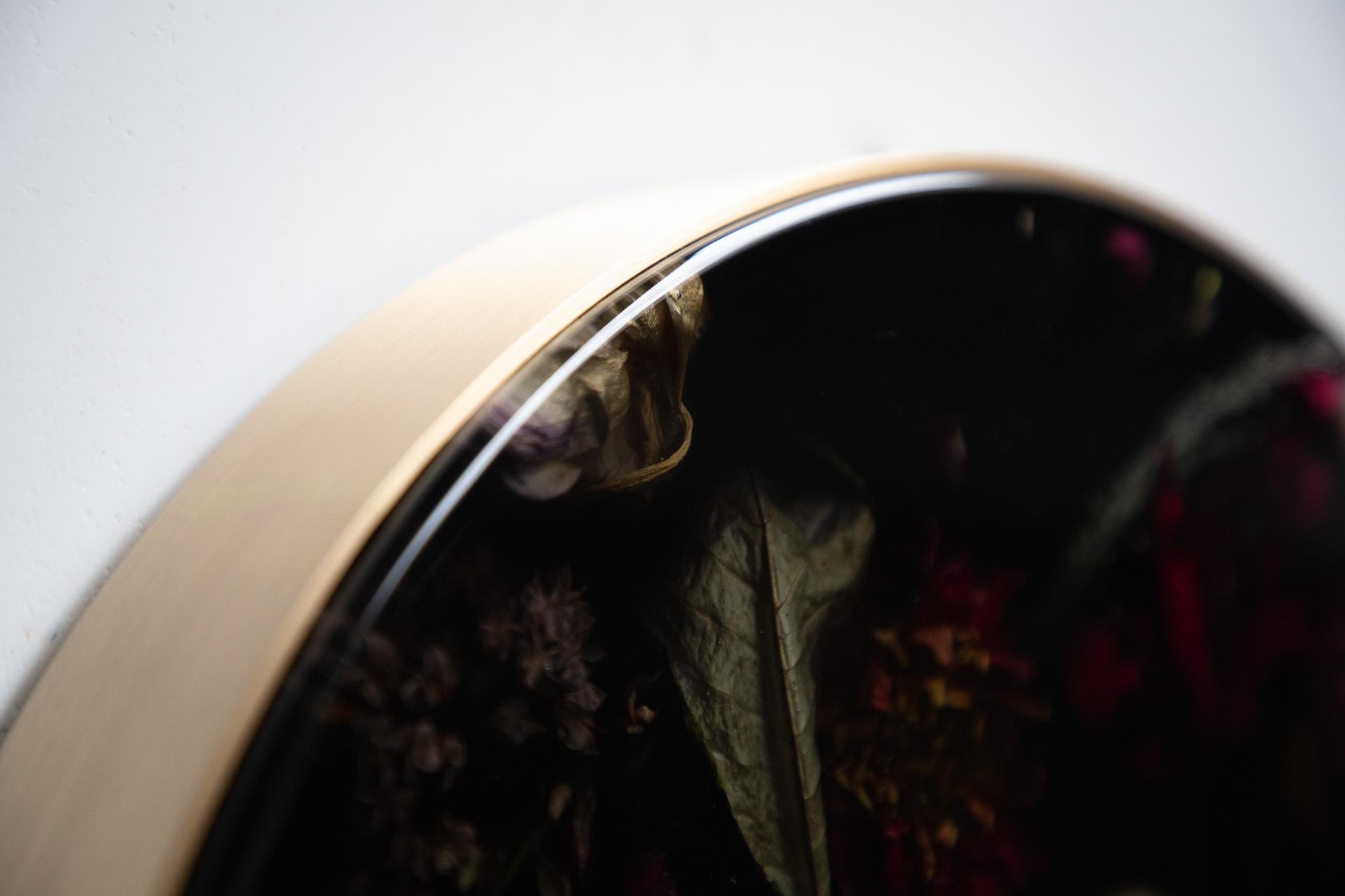 Brushed Marcin Rusak, Flora Wallhanging Disc 35, Black Polished Finish, Brass Frame For Sale