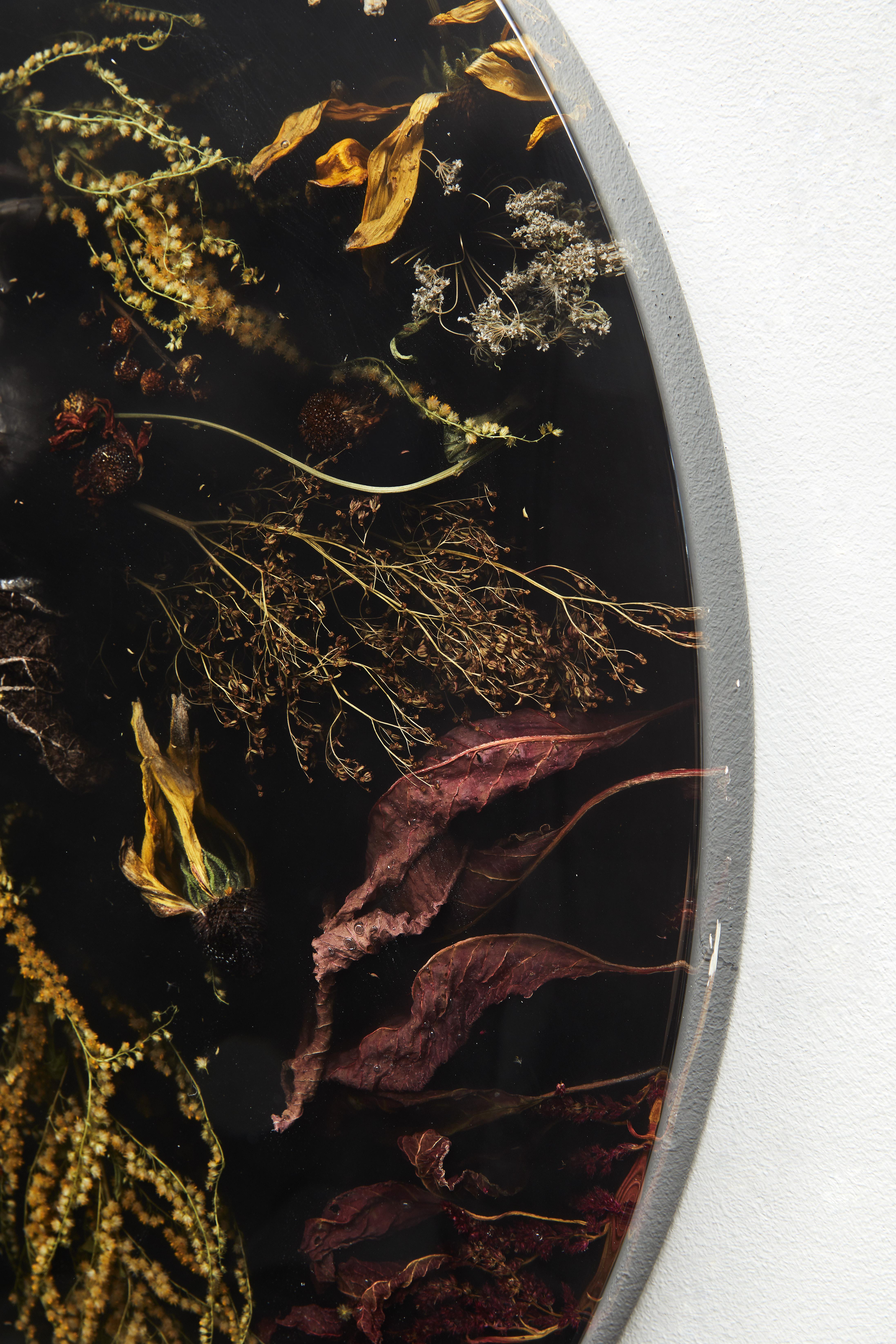 Altro Marcin Rusak, Flora Wallhanging Lens 65, Fiori vernacolari, Nero, Lucido in vendita