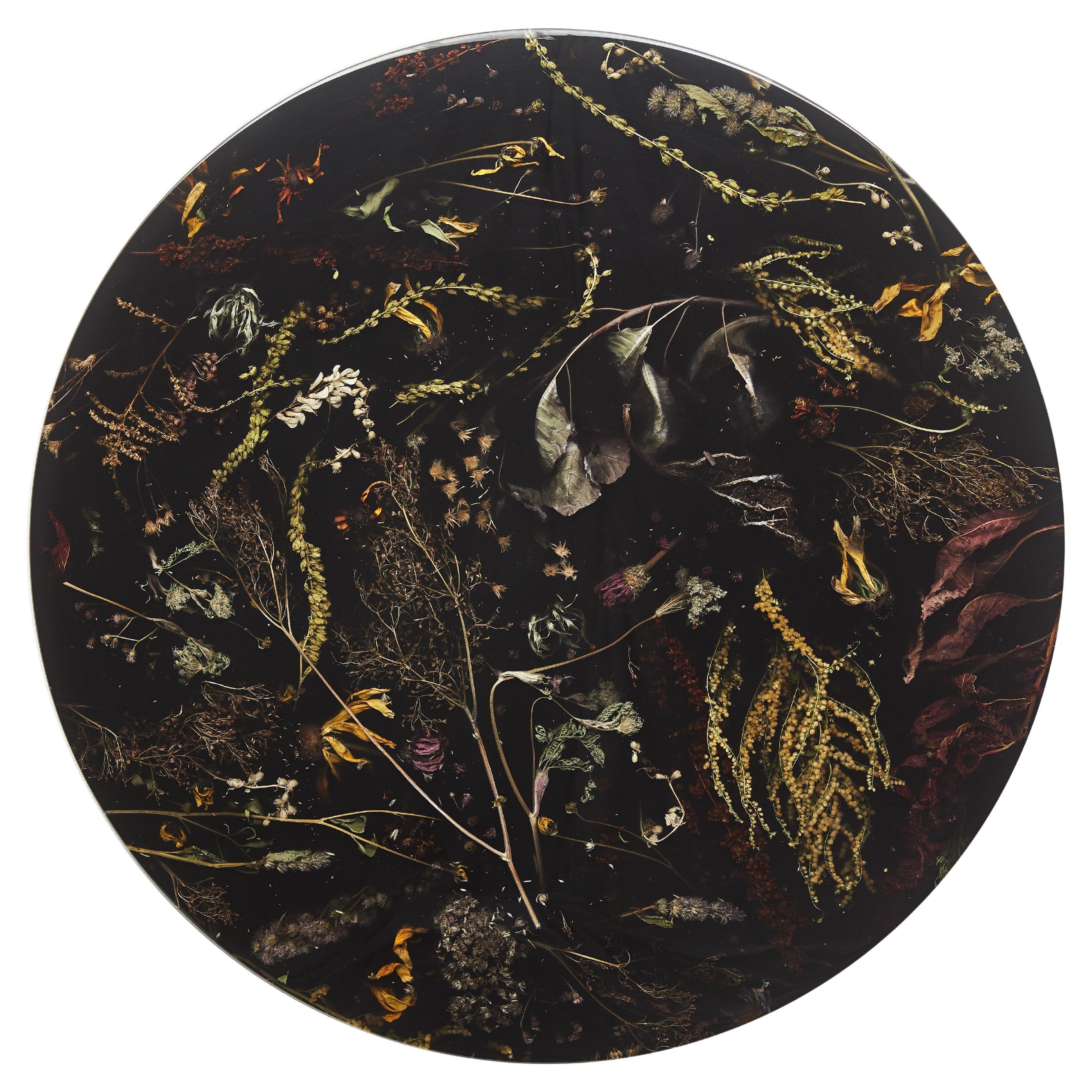 Marcin Rusak, Flora Wallhanging Lens 65, Fiori vernacolari, Nero, Lucido