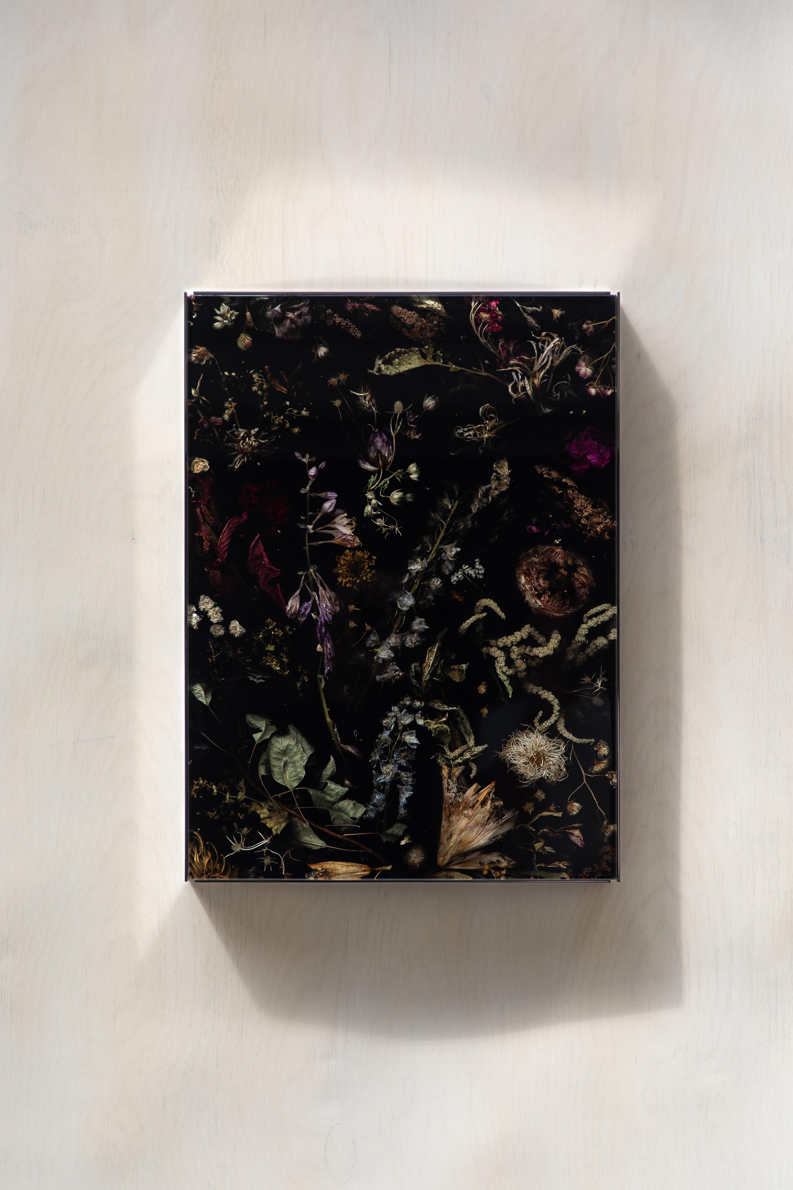 Parte de la emblemática colección Flora de Marcin Rusak, el colgante de pared Flora, Pieza 44, constituye una pieza decorativa única que funciona bien en una gran variedad de ambientes, desde clásicos y románticos hasta modernos y contemporáneos.