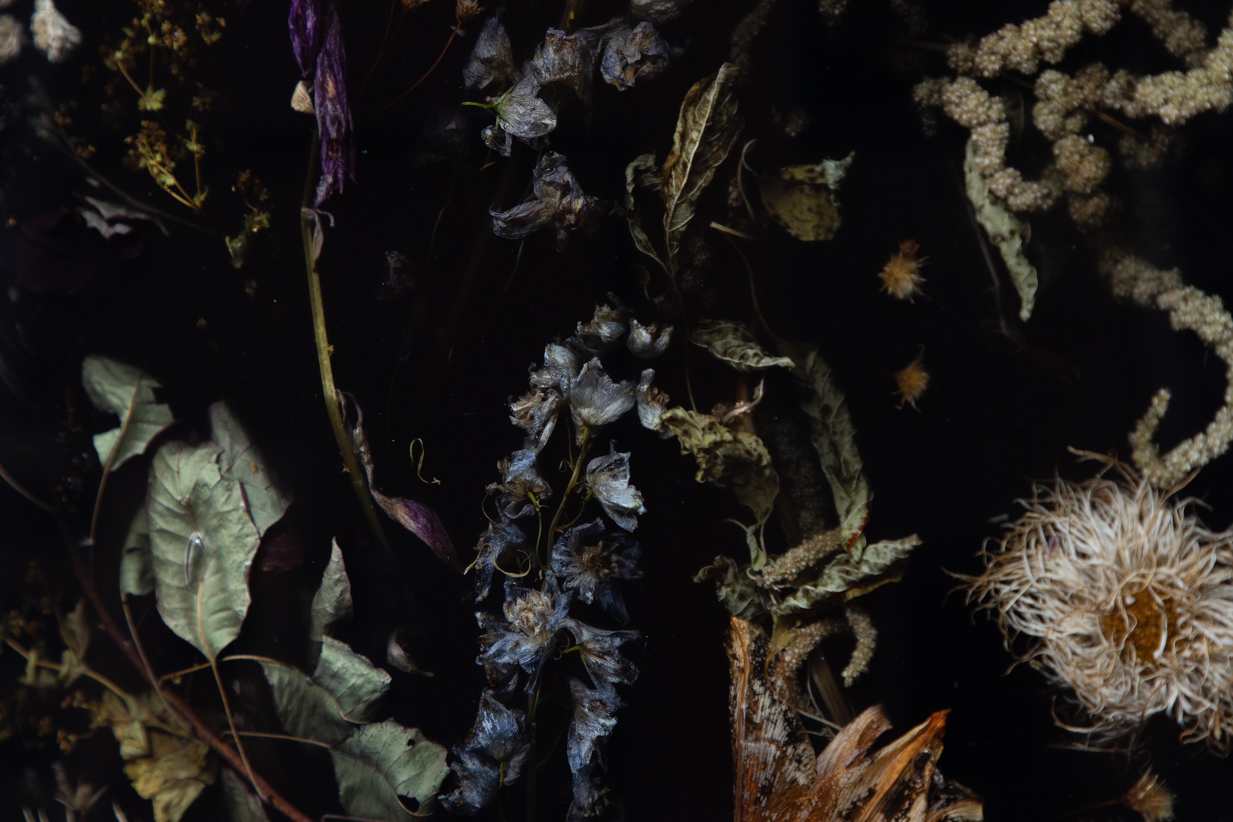 Marcin Rusak, Flora Wallhanging Piece 44, Black Polished Finish For Sale 2