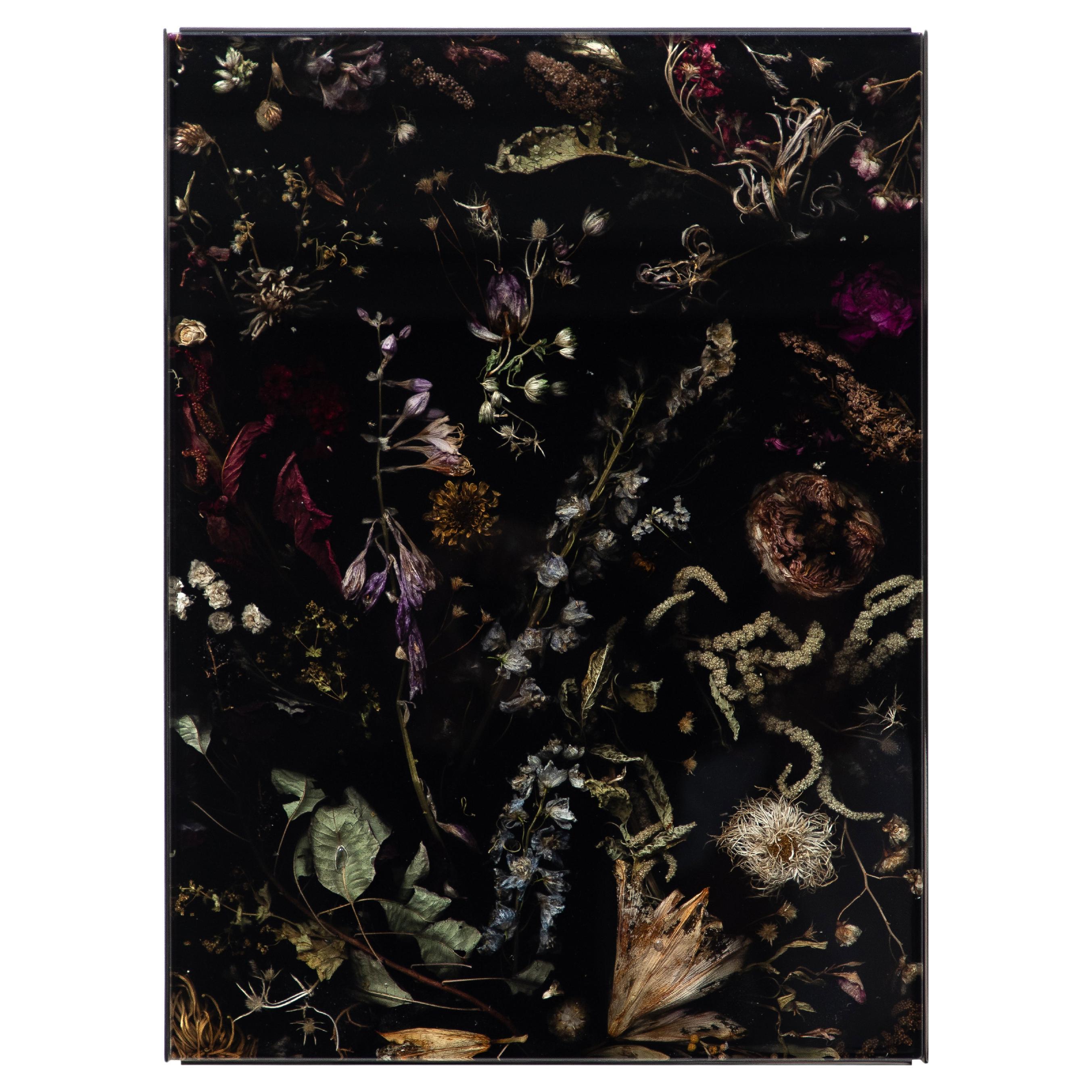 Marcin Rusak, Flora Wallhanging Piece 44, Black Polished Finish