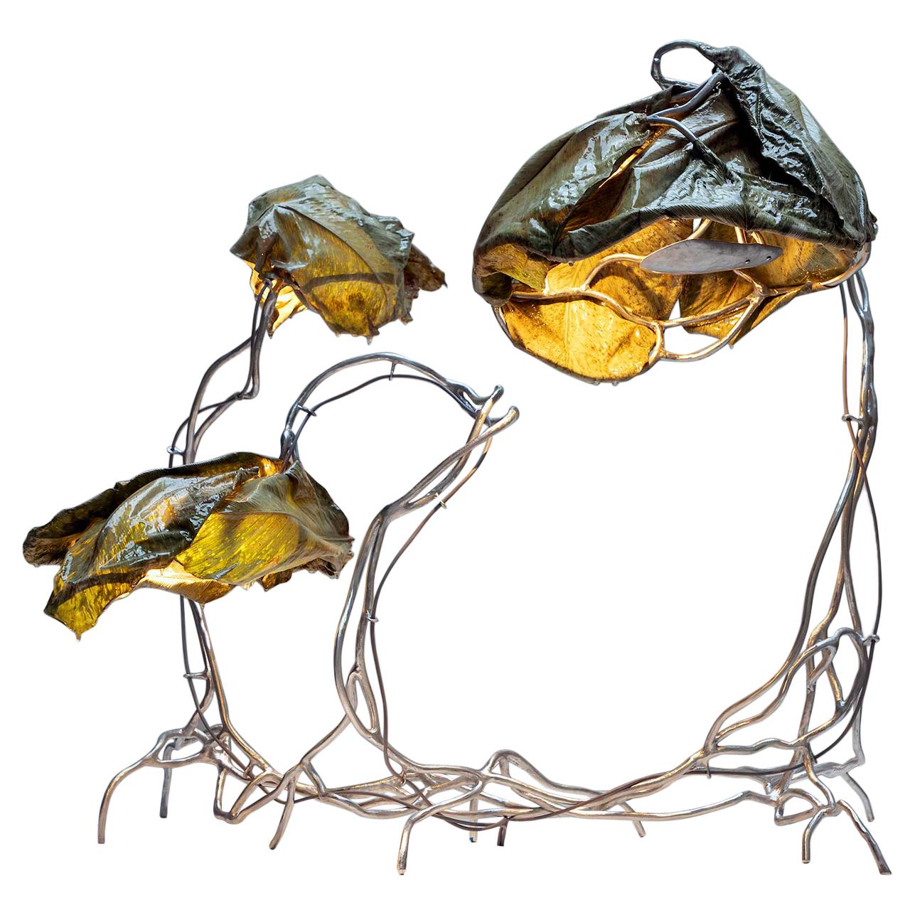 Marcin Rusak Protoplasting Nature 00 Unica luce scultorea