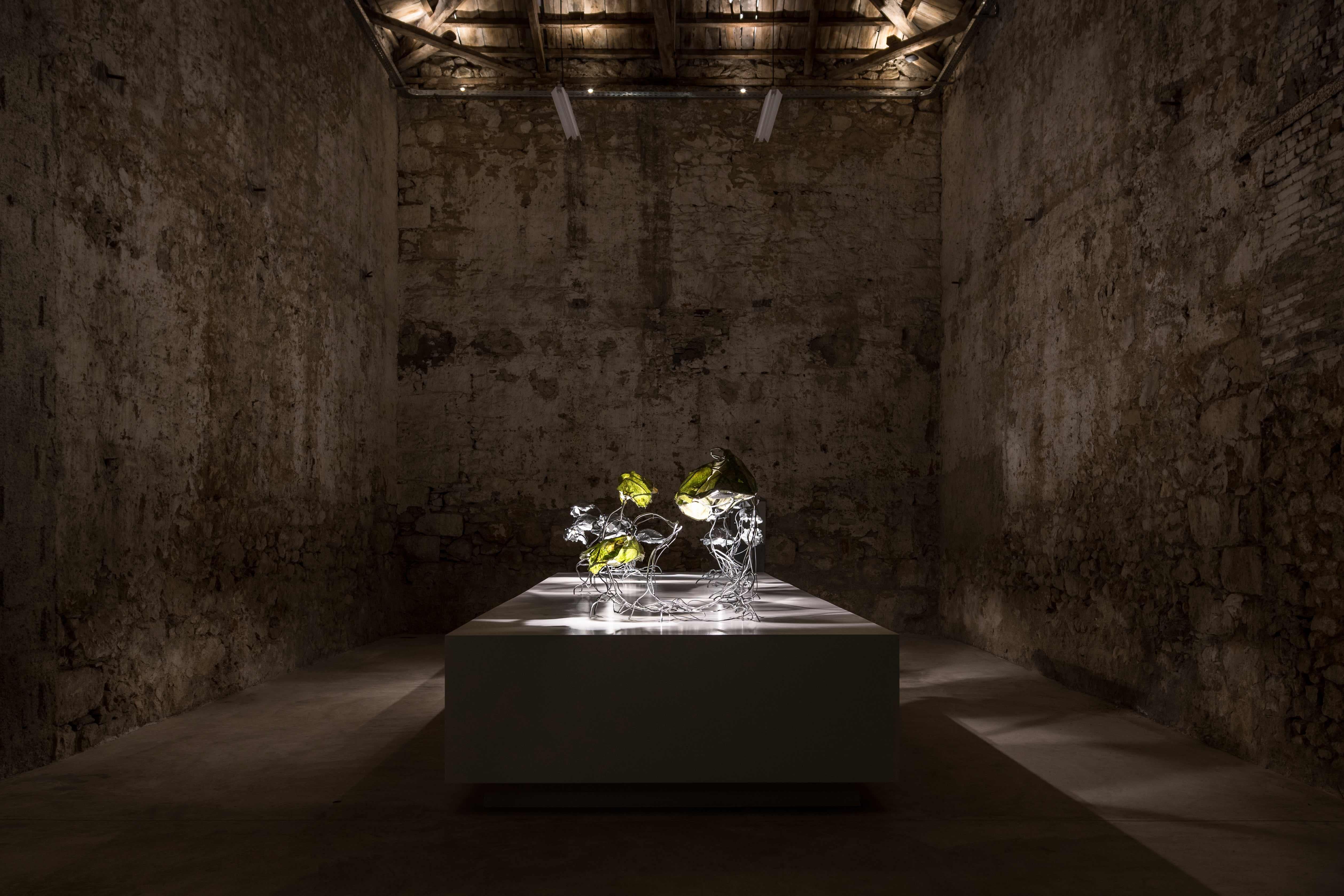 Zinco Marcin Rusak Protoplasting Nature 04 Luce scultorea unica con foglie reali in vendita