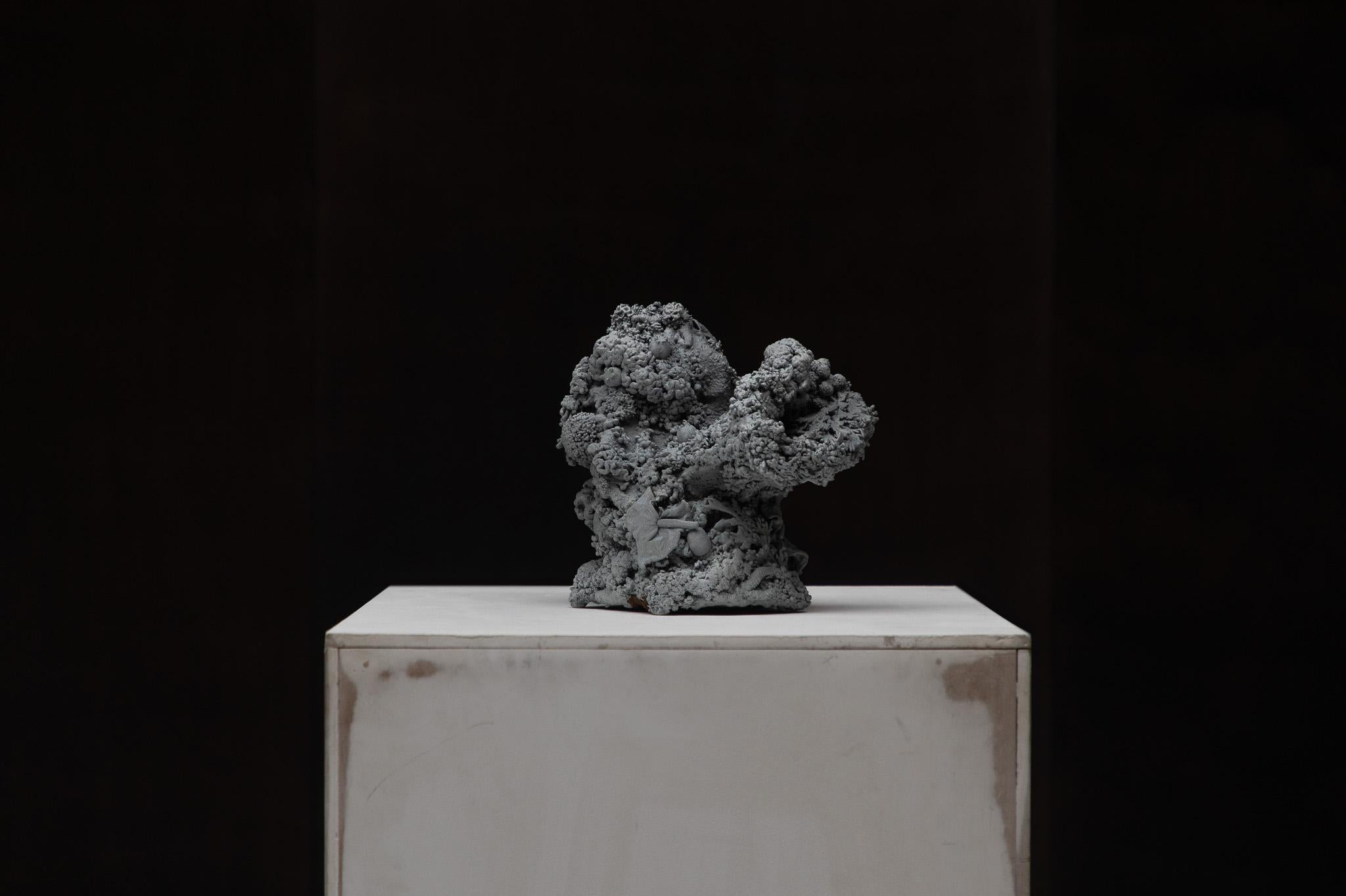 Marcin Rusak, „Tephra-Skulptur 006“, 2022, Realblumen, Zink, auf Lager (Sonstiges) im Angebot