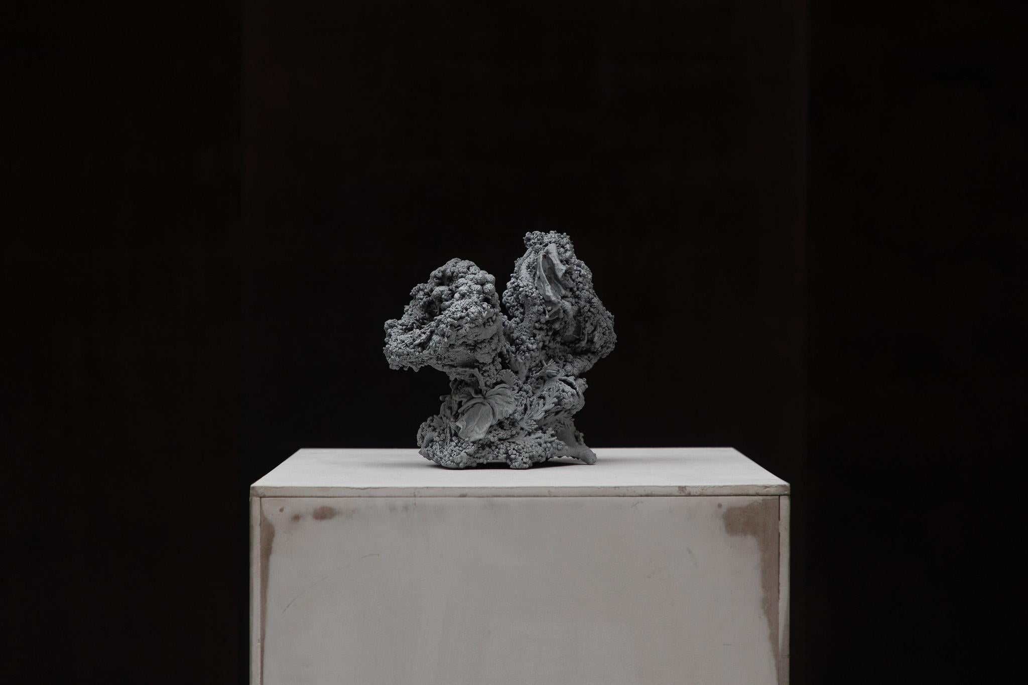 Marcin Rusak, „Tephra-Skulptur 006“, 2022, Realblumen, Zink, auf Lager (Polnisch) im Angebot